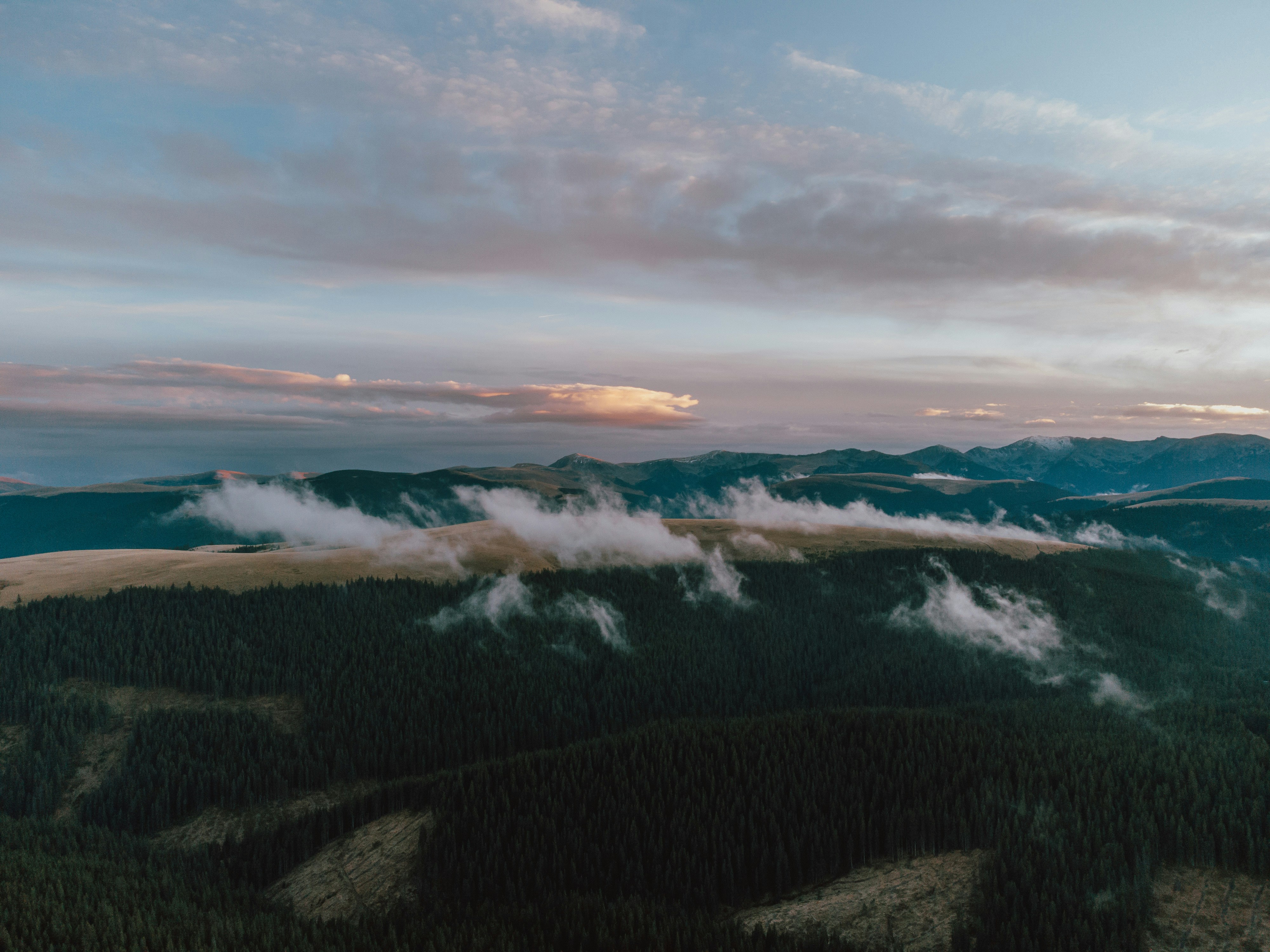 Photo by luisgherasim