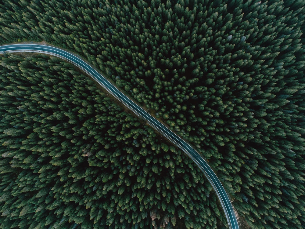 an aerial view of a road surrounded by trees