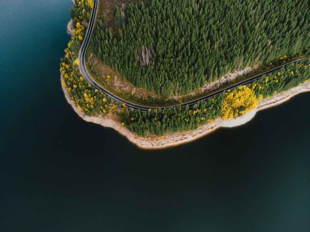 an aerial view of a road in the middle of a forest