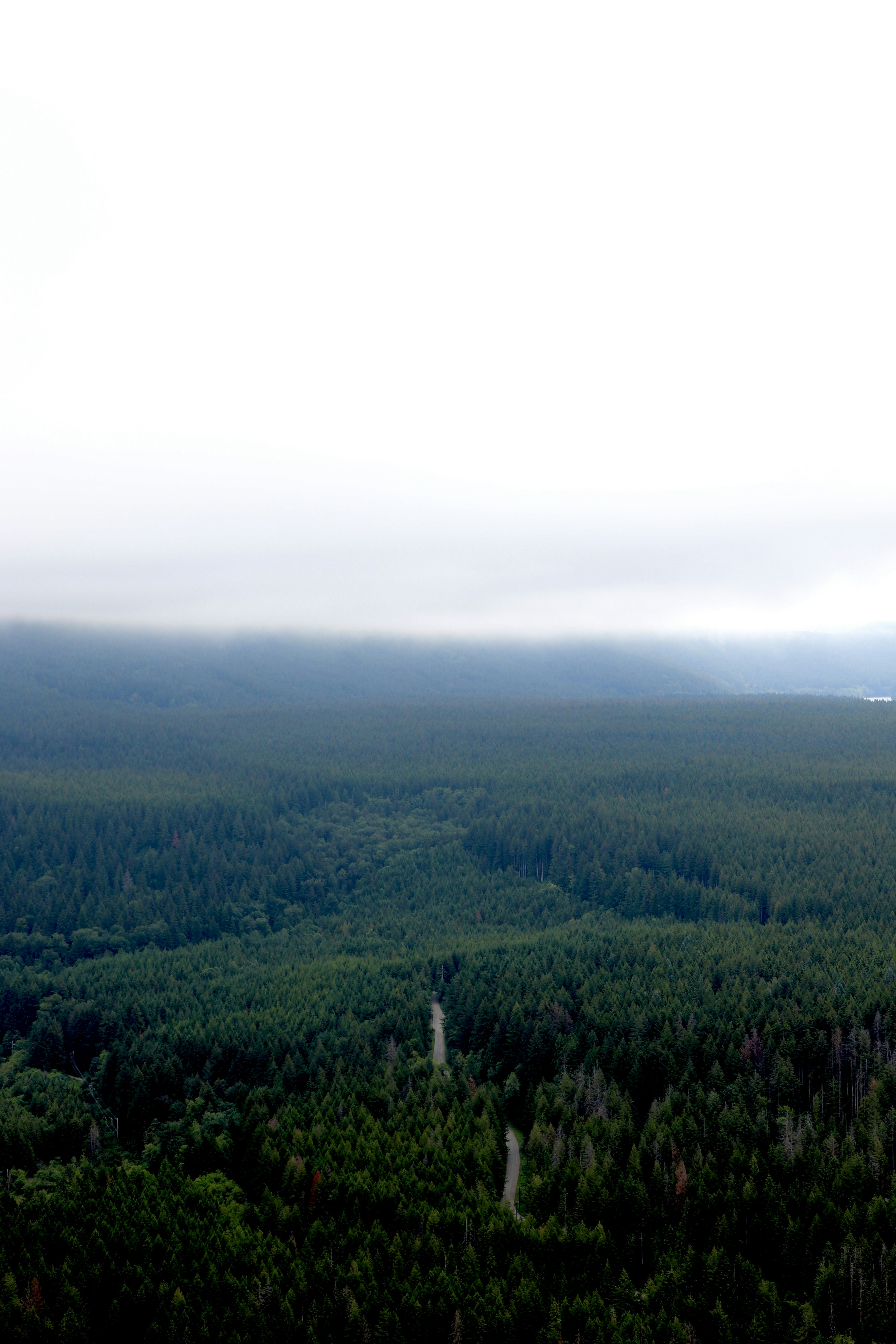 Skuleskogen National Park Landscape