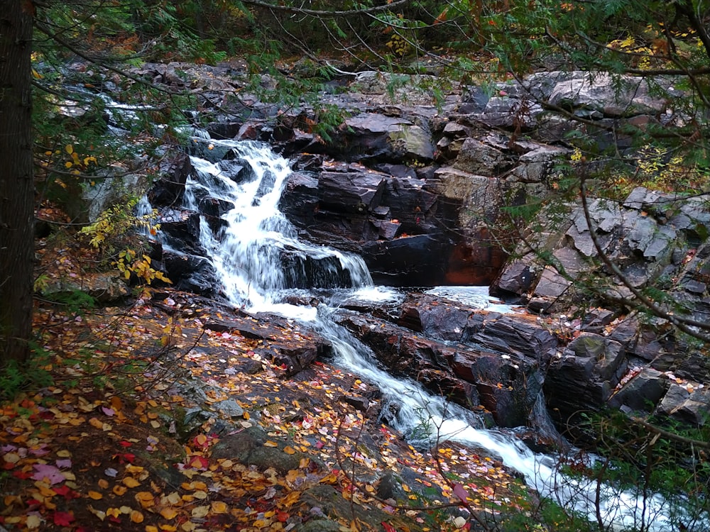 a small waterfall in the middle of a forest