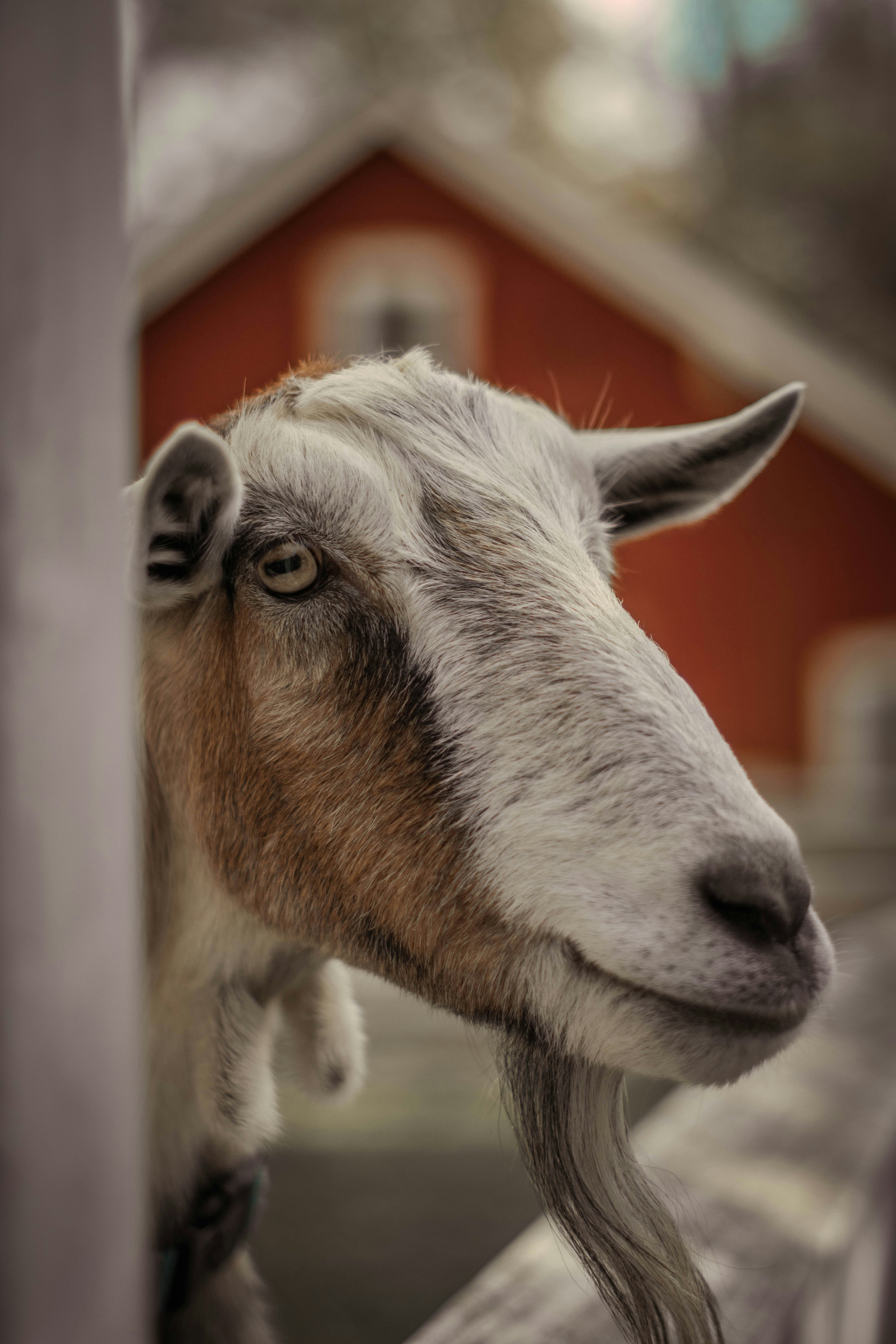 Photo by mariahhewines