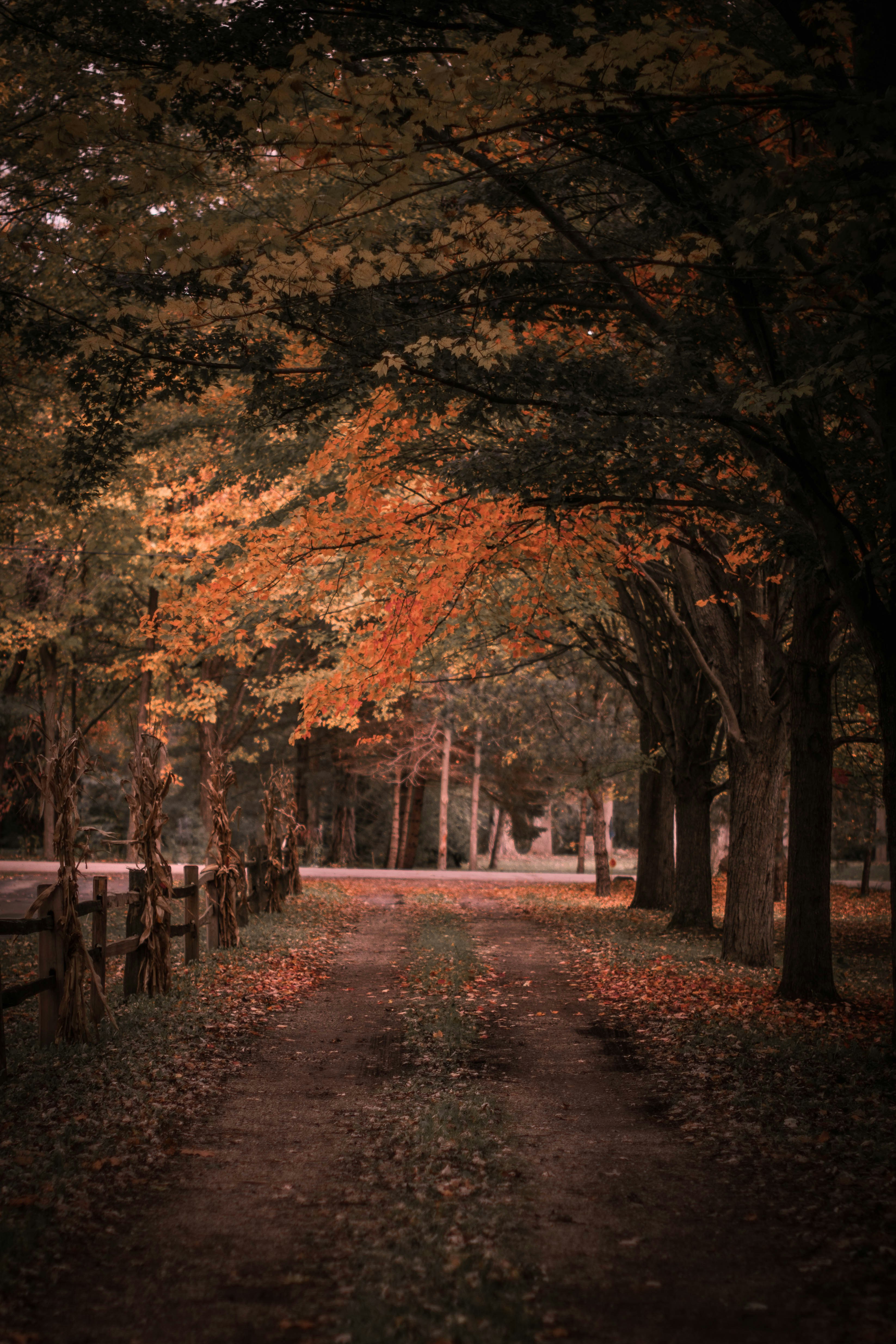 Photo by mariahhewines