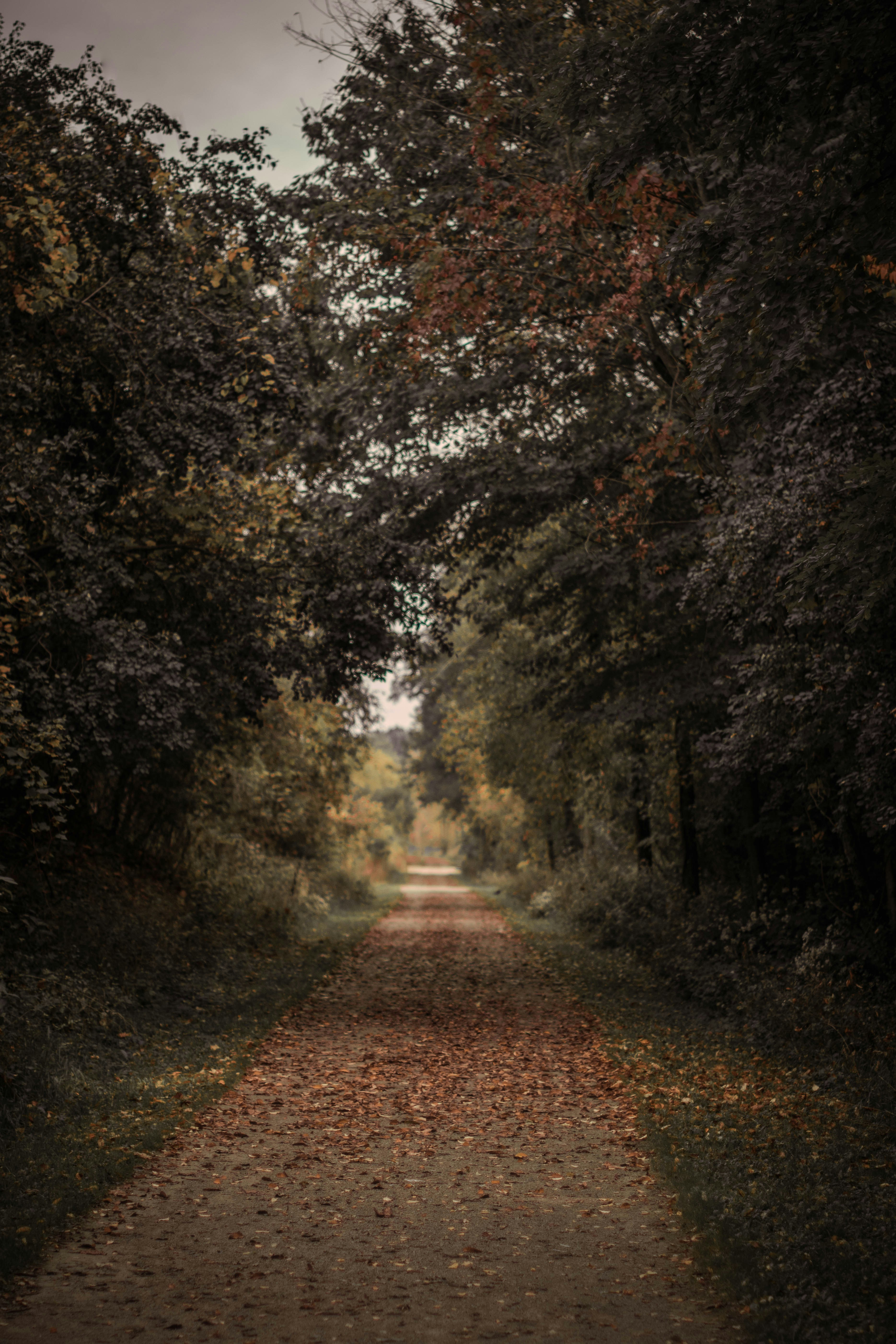 Photo by mariahhewines