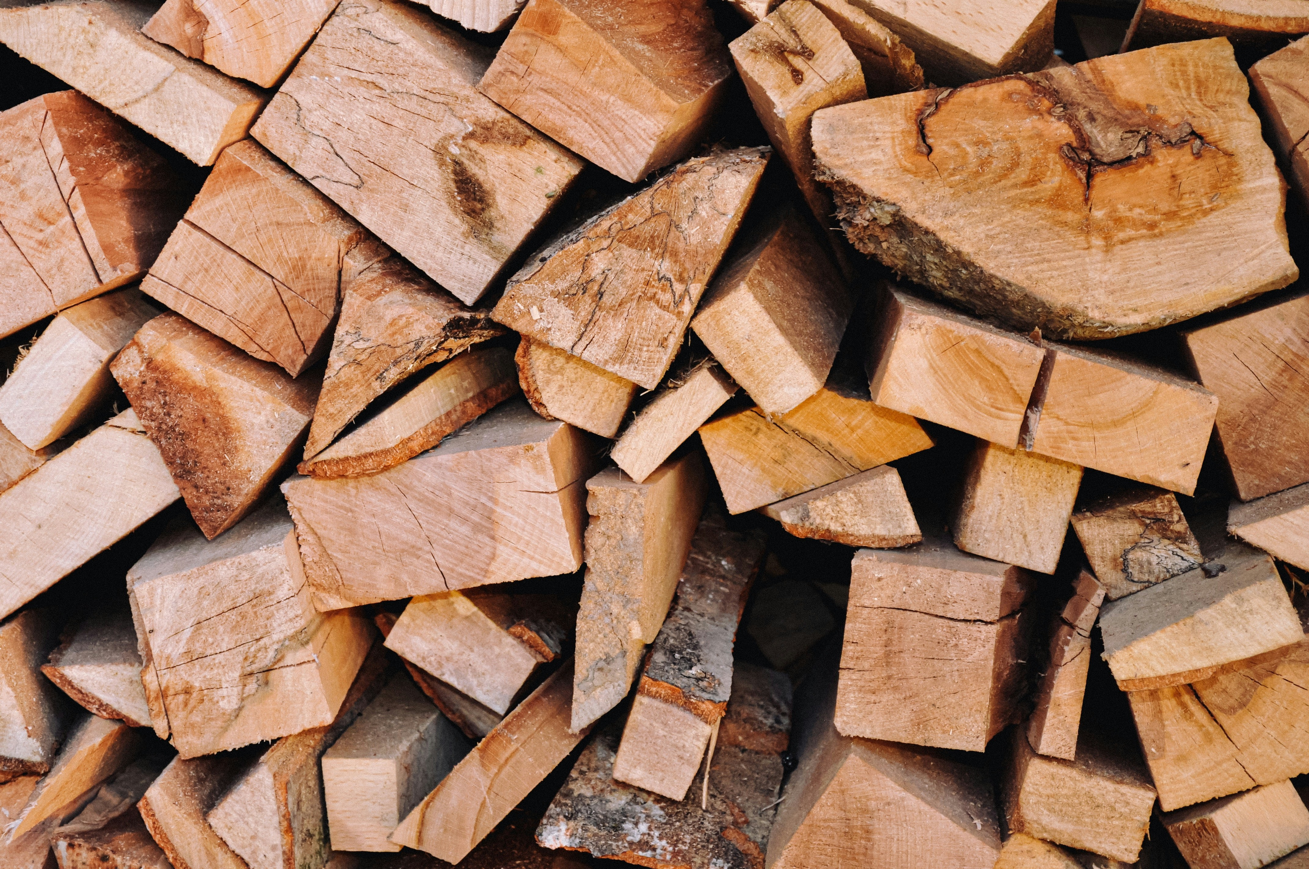 Photo by octavianiordache