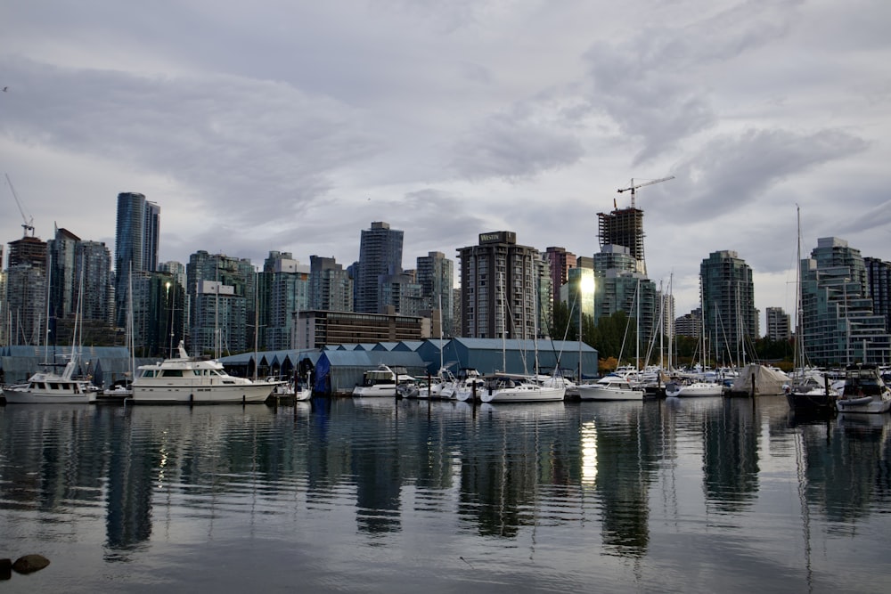 a harbor with boats and a city in the background