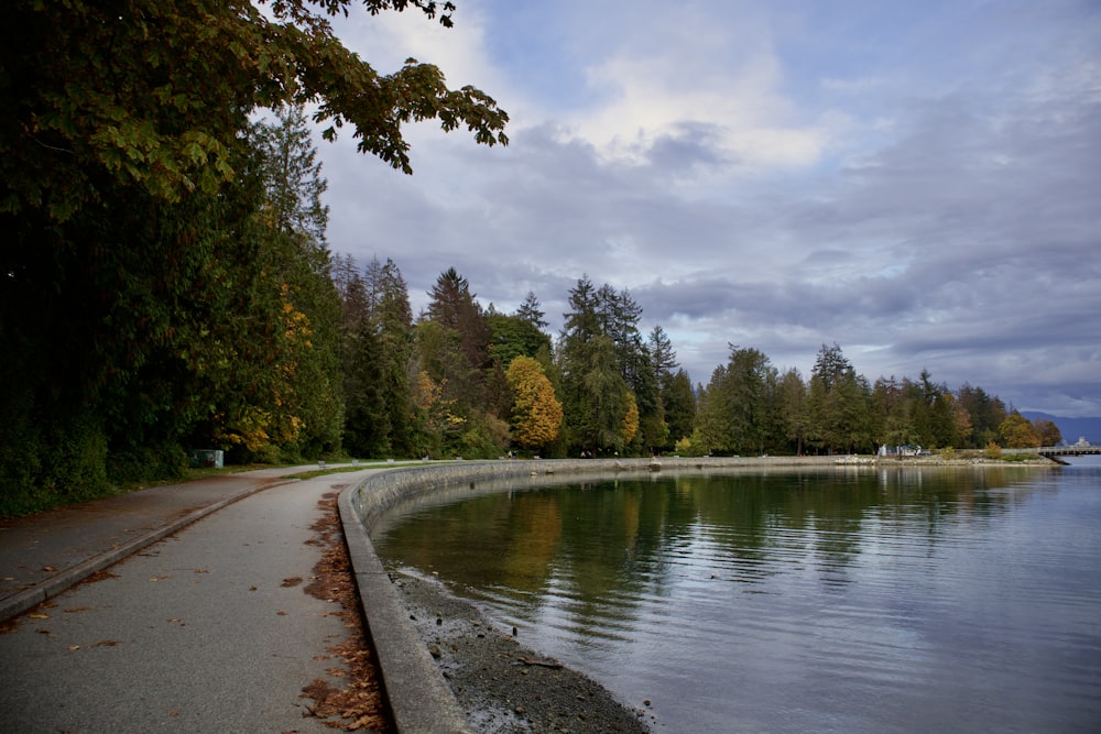 a view of a body of water with trees in the background