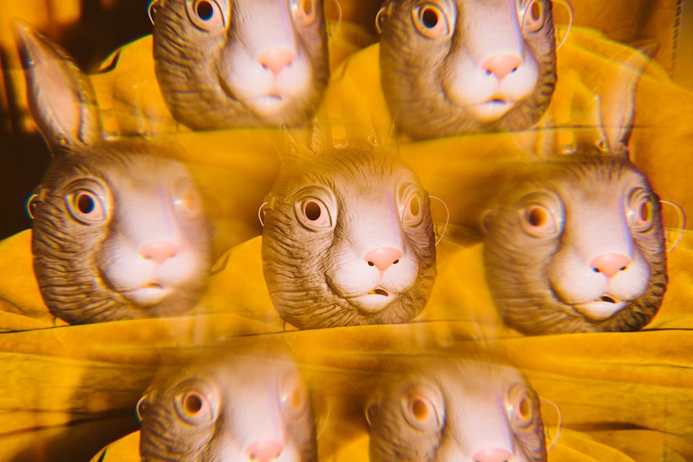 a close up of a bunch of animals with eyes