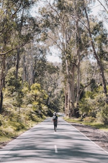 A person walks alone down a sunlit, tree-lined road surrounded by tall eucalyptus trees and lush greenery. Shadows from the trees create patterns on the asphalt, and the scene suggests a peaceful, solitary journey in nature.