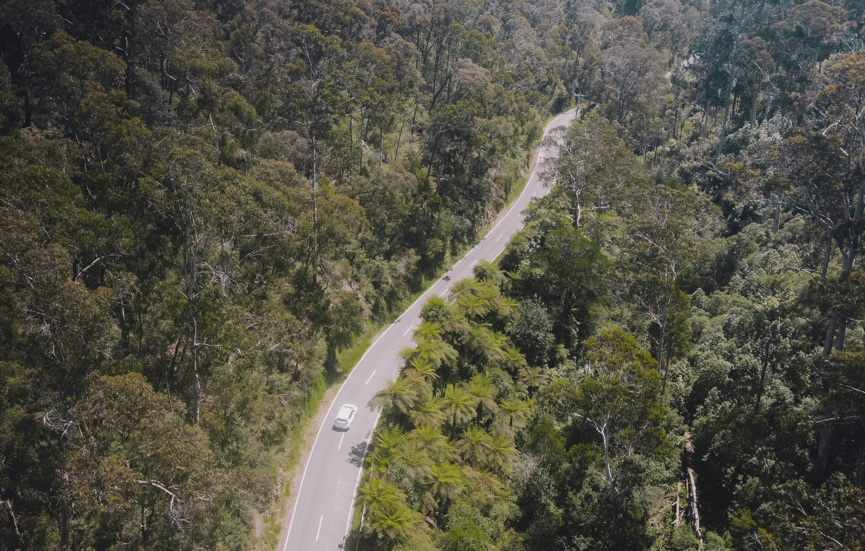 Scenic view of Australian outback landscape