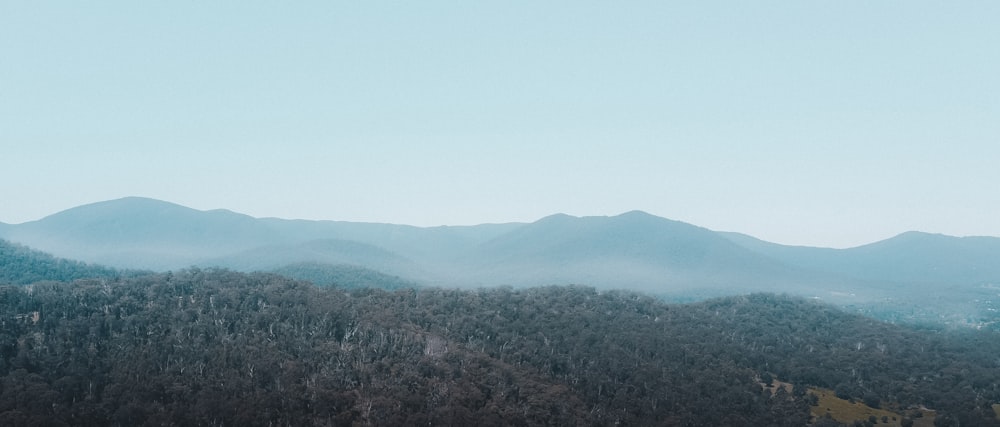 a large mountain in the background