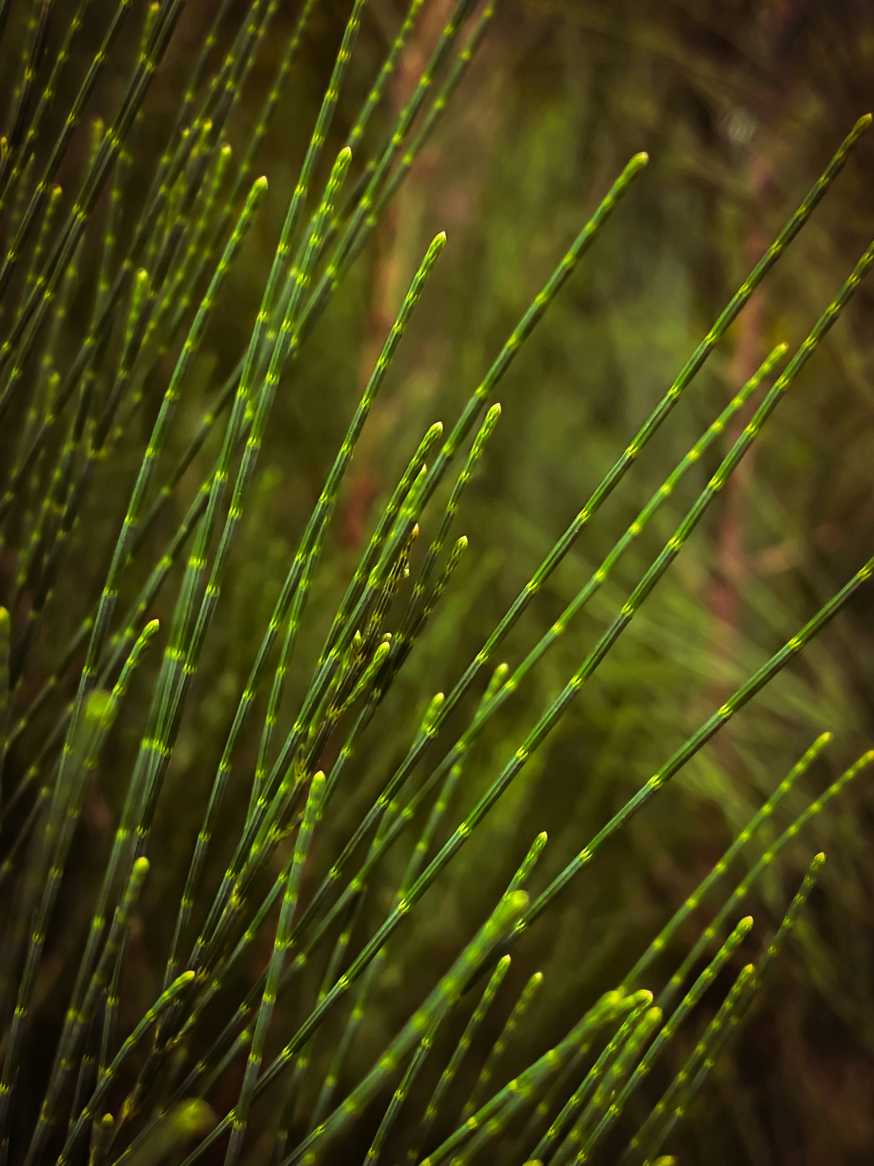 Photo by tejpatange