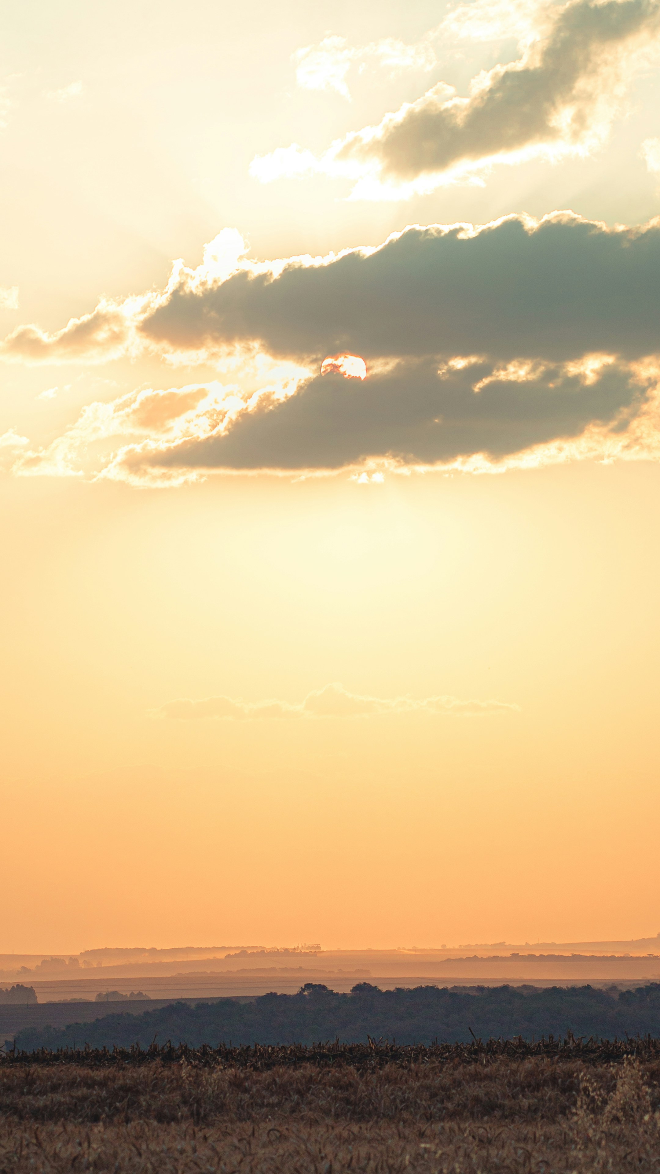 Photo by guilhermestecanella