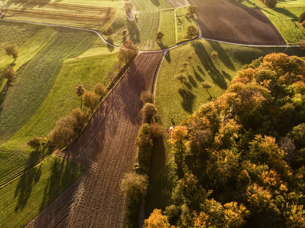Una vista aérea de un camino rural en el campo