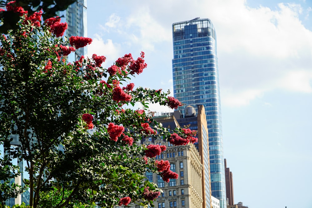 a tall building with red flowers in front of it