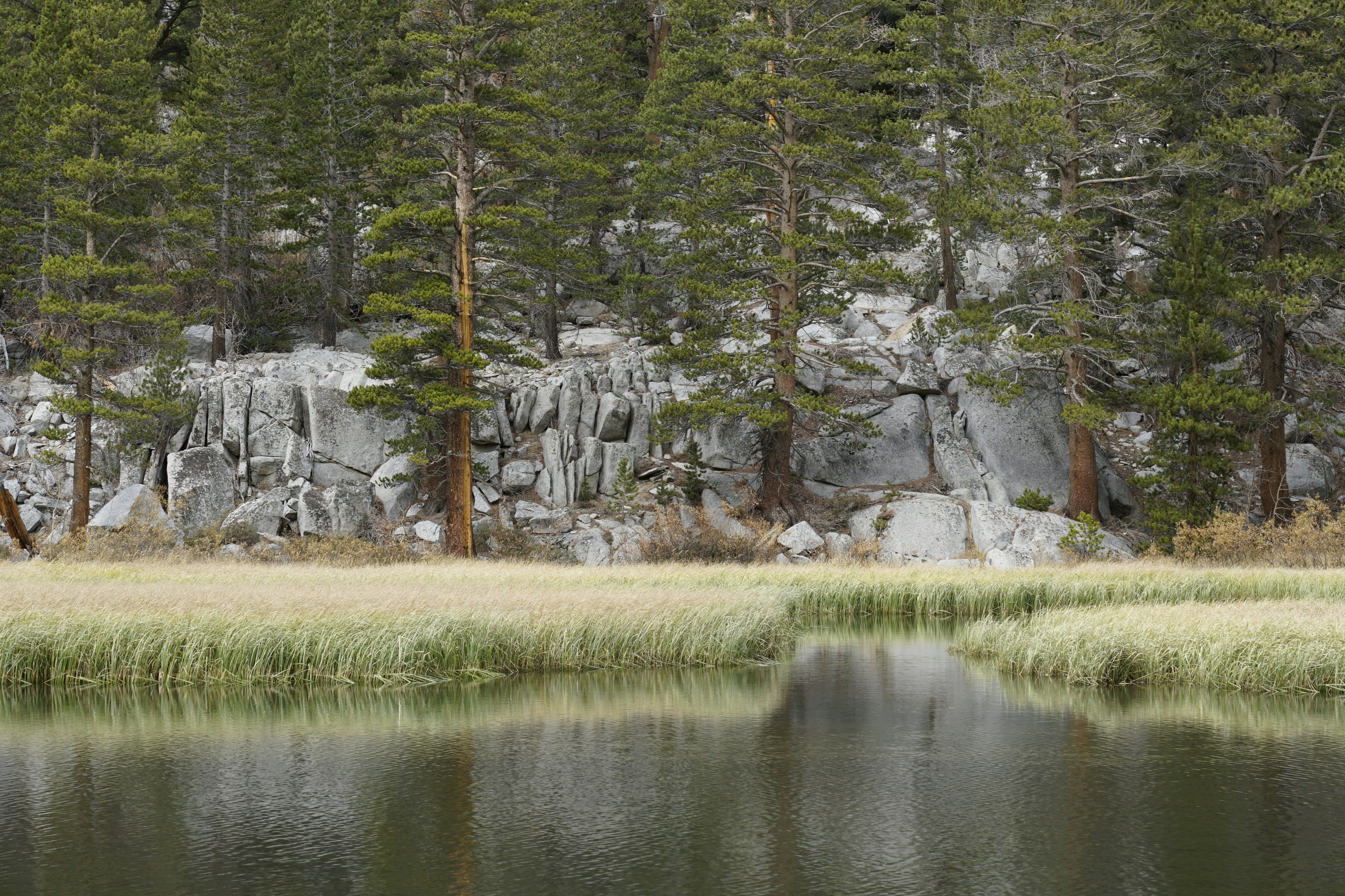 Photo by charleswham