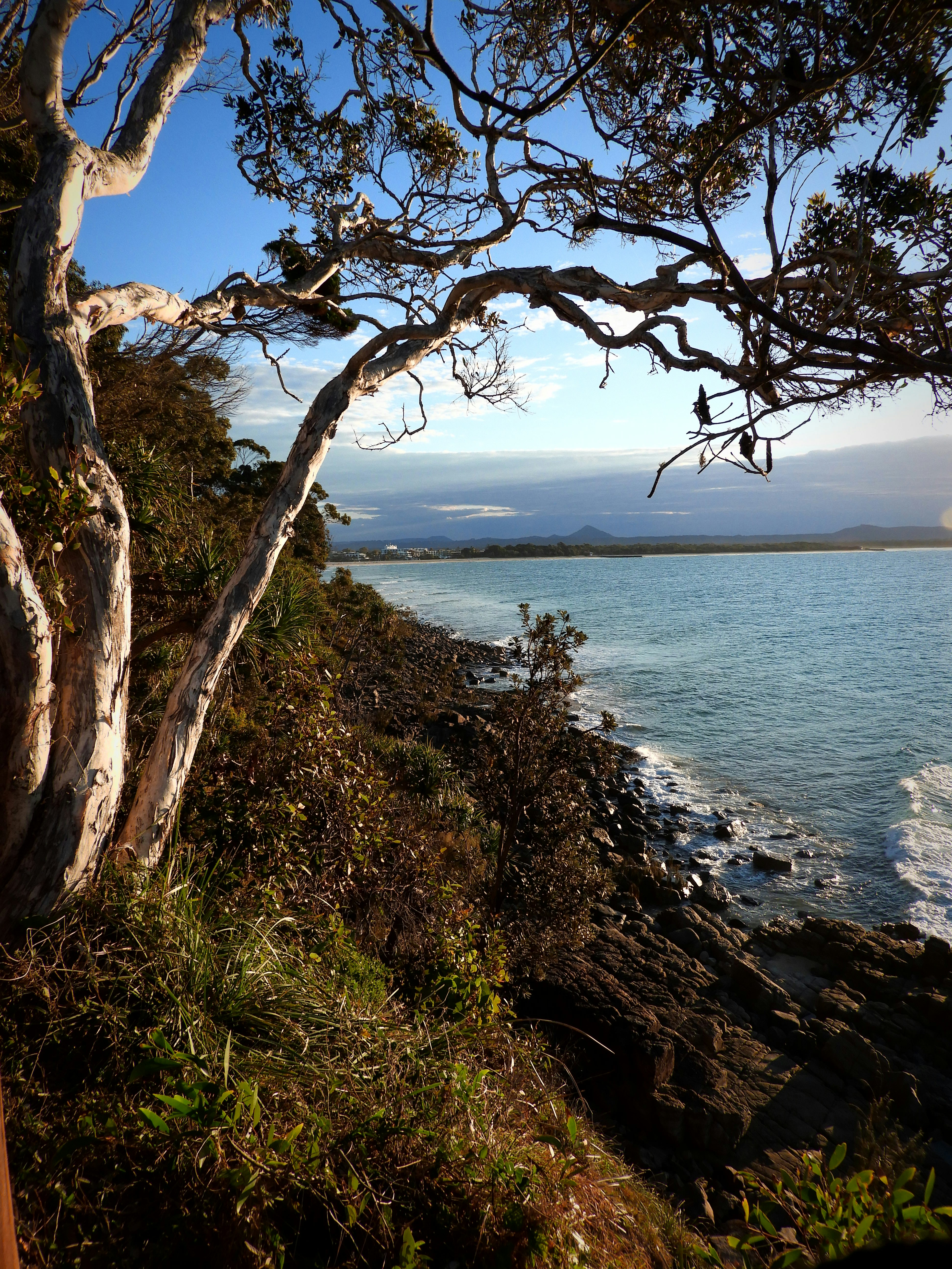a large body of water surrounded by trees