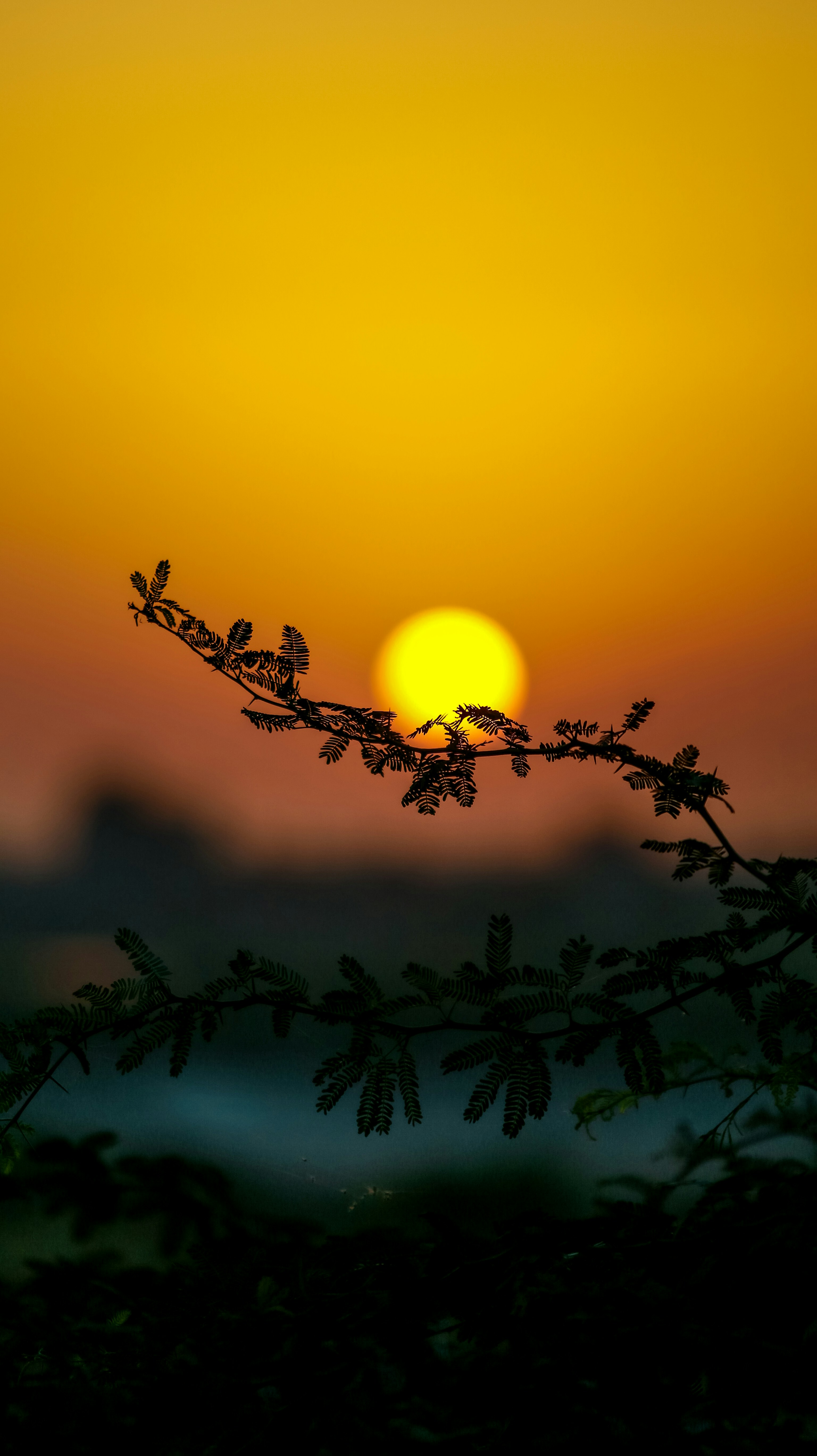 Photo by shahrukh_rehman1