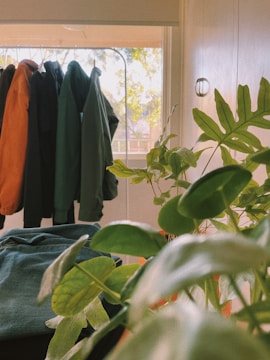 A collection of jackets in green and orange are hanging on a rack in front of a window. Sunlight filters through the leaves of a potted plant in the foreground, casting shadows and creating a warm, inviting atmosphere.