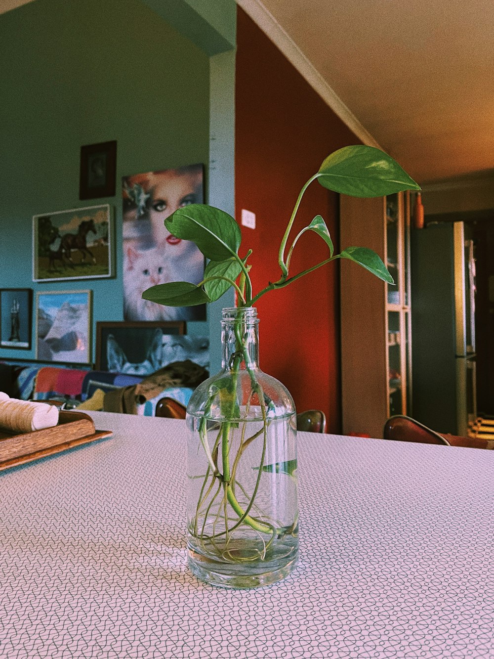a glass vase with a plant in it on a table