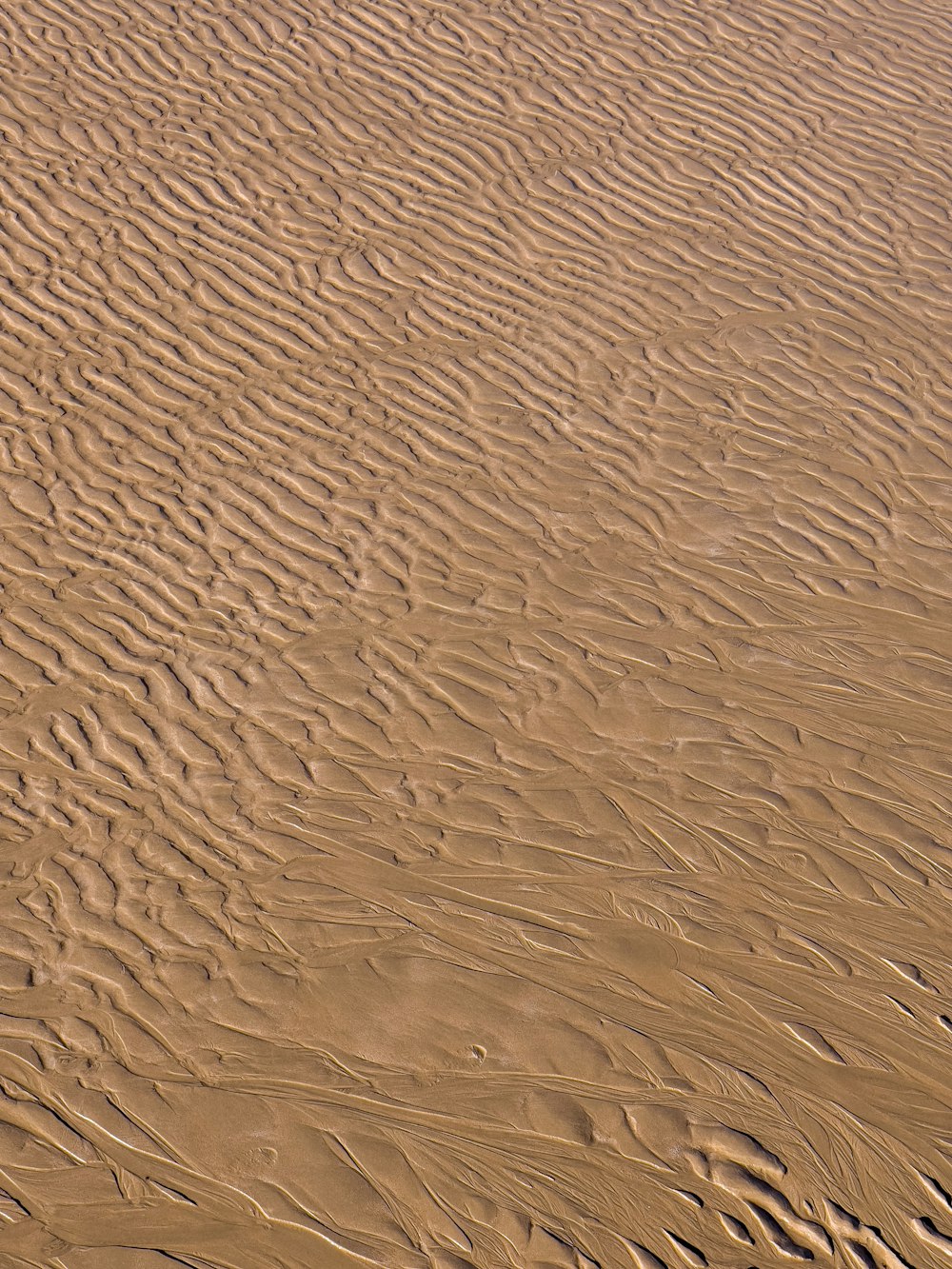 Eine Person, die auf einem Surfbrett auf einem Sandstrand fährt