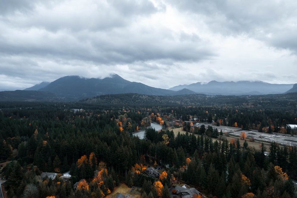 an aerial view of a forest with mountains in the background