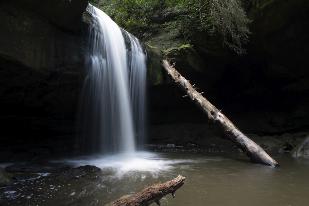 a waterfall with a fallen tree in the middle of it