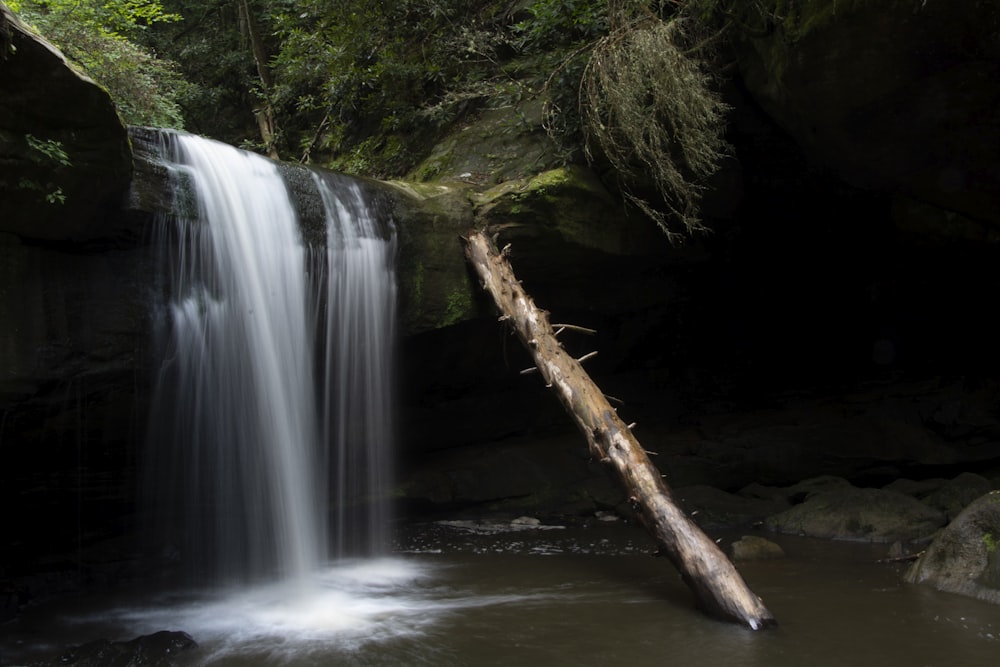 une cascade avec un arbre tombé au milieu