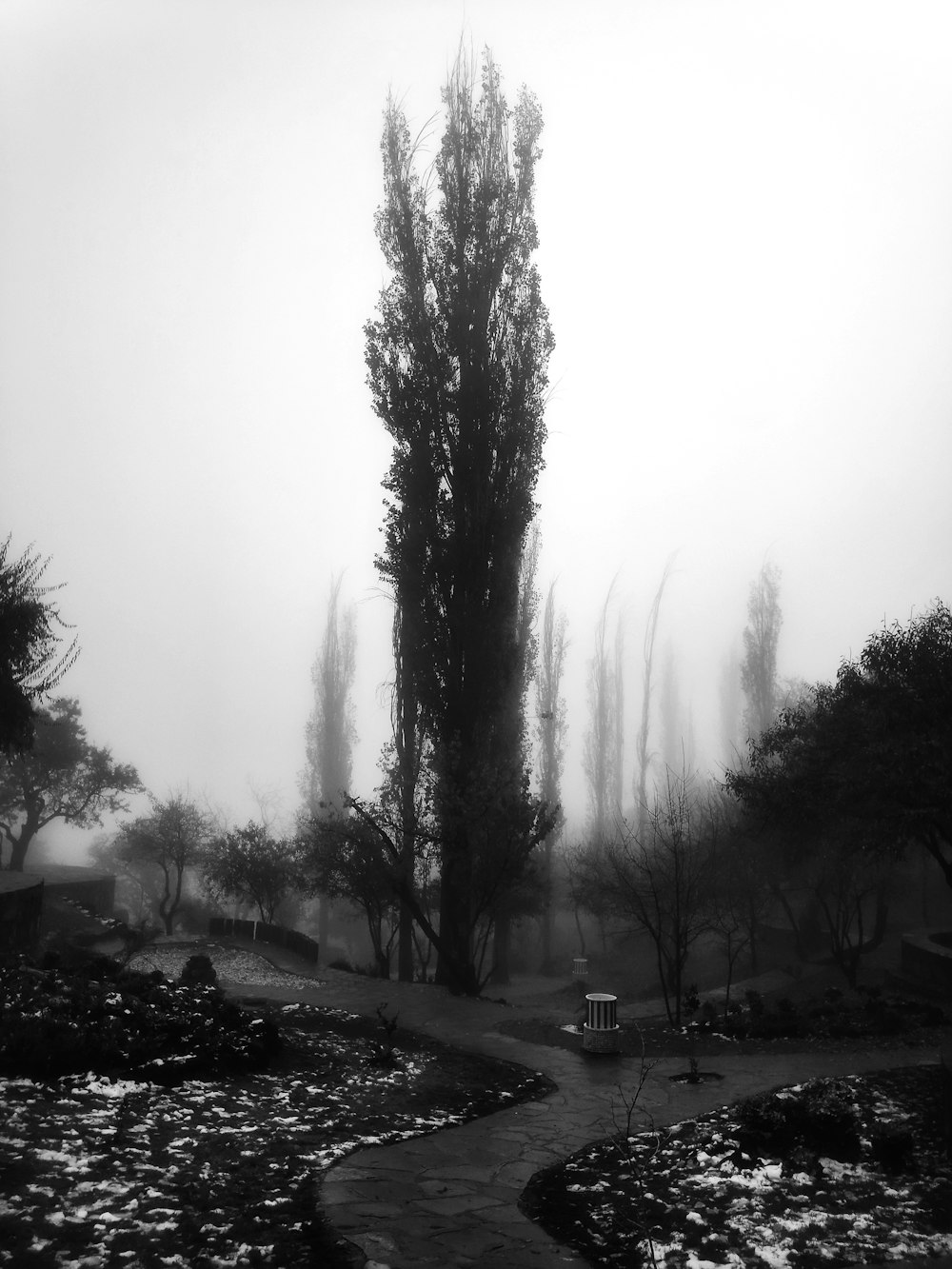 a black and white photo of a foggy park