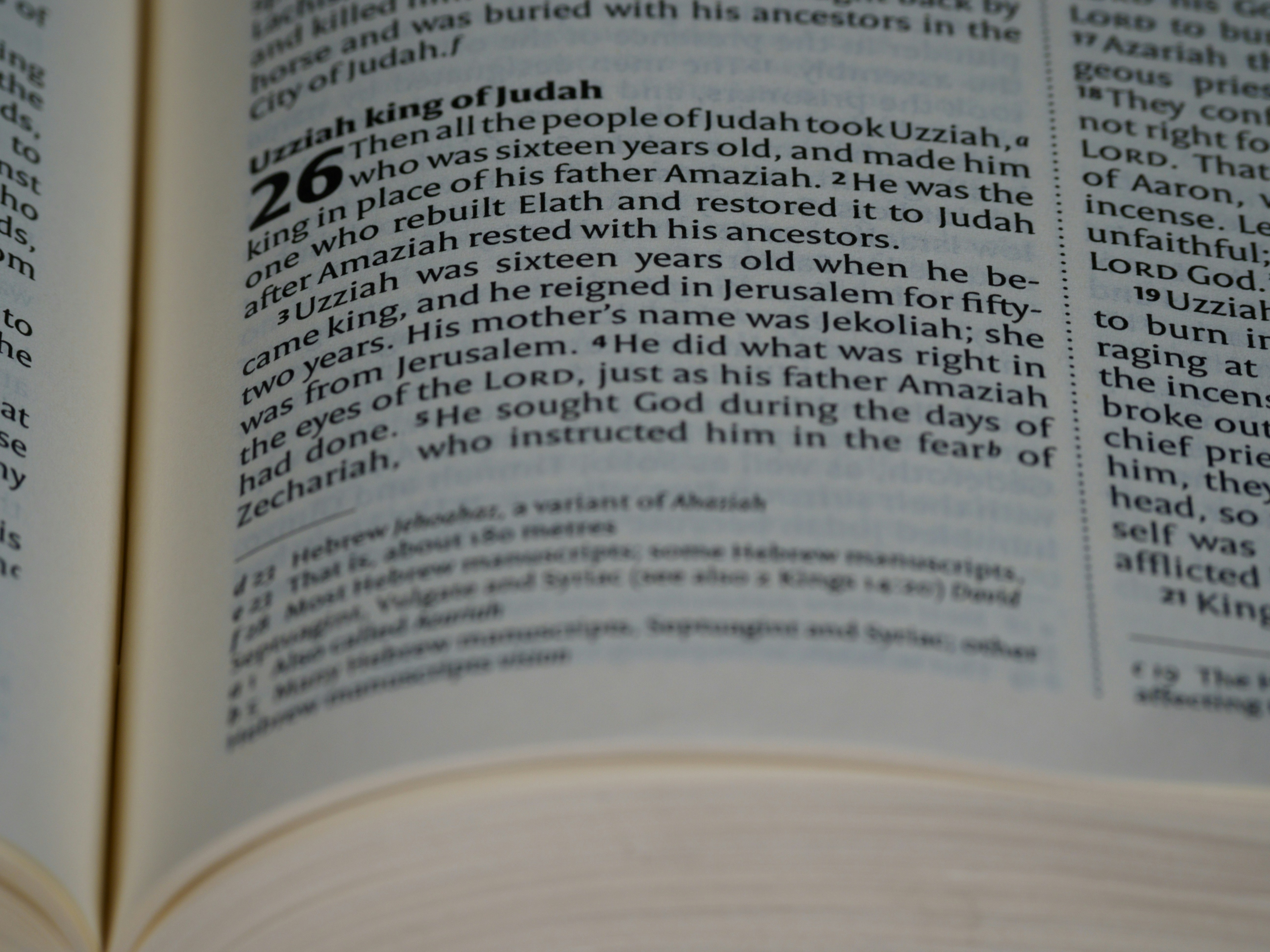 photo-1635403089877-4f114b5a0c8e?ixid=M3wxMjA3fDB8MXxzZWFyY2h8MjB8fHVmYWJldCUyMCVFMCVCOCU5NyVFMCVCOCVCMiVFMCVCOCU4NyVFMCVCOSU4MCVFMCVCOCU4MiVFMCVCOSU4OSVFMCVCOCVCMiUyMCVFMCVCOCVBNSVFMCVCOSU4OCVFMCVCOCVCMiVFMCVCOCVBQSVFMCVCOCVCOCVFMCVCOCU5NHxlbnwwfHx8fDE3NTkwMzcyMTJ8MA\u0026ixlib=rb-4.1.0