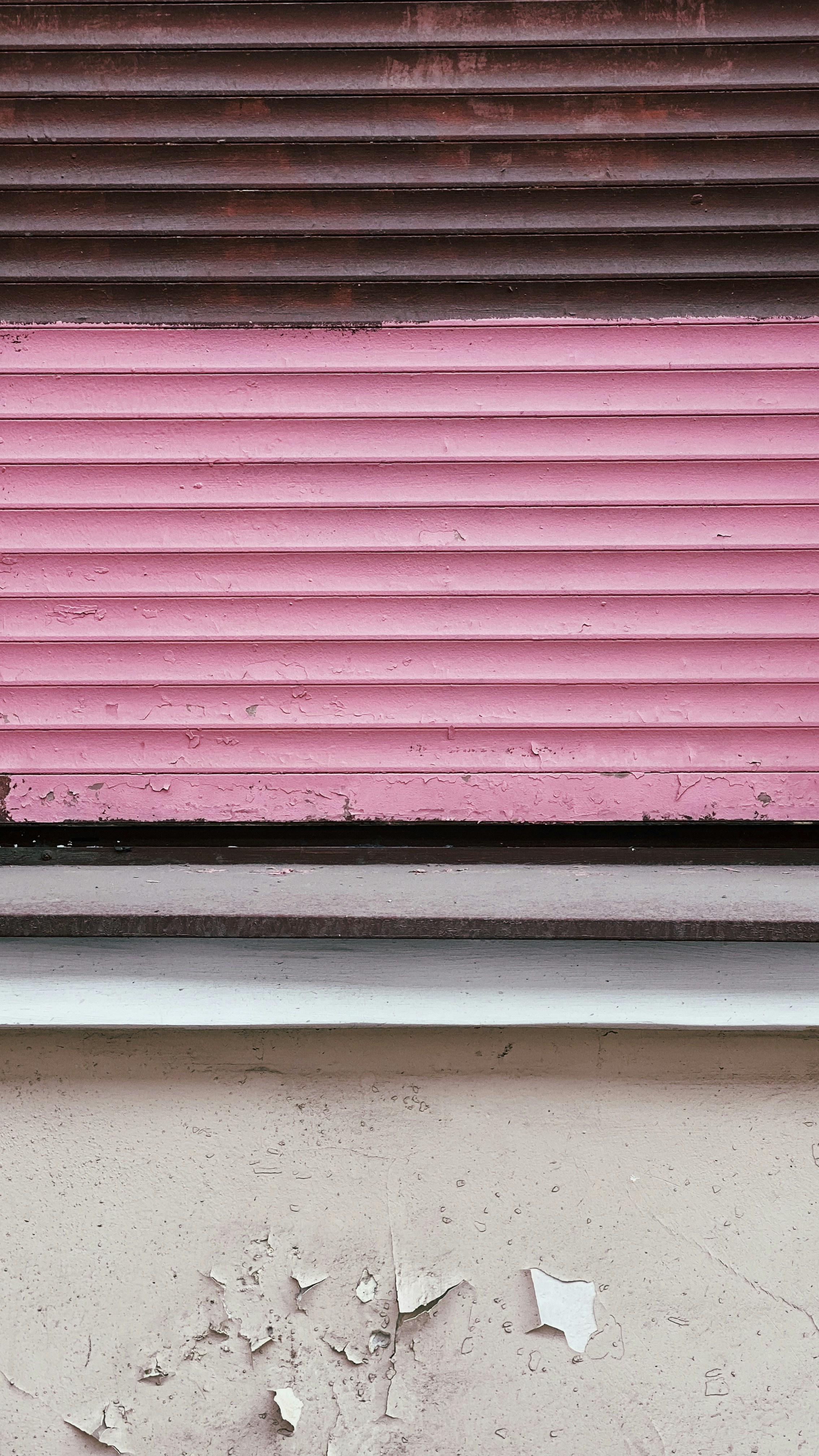 a cat sitting on a window sill in front of a pink wall