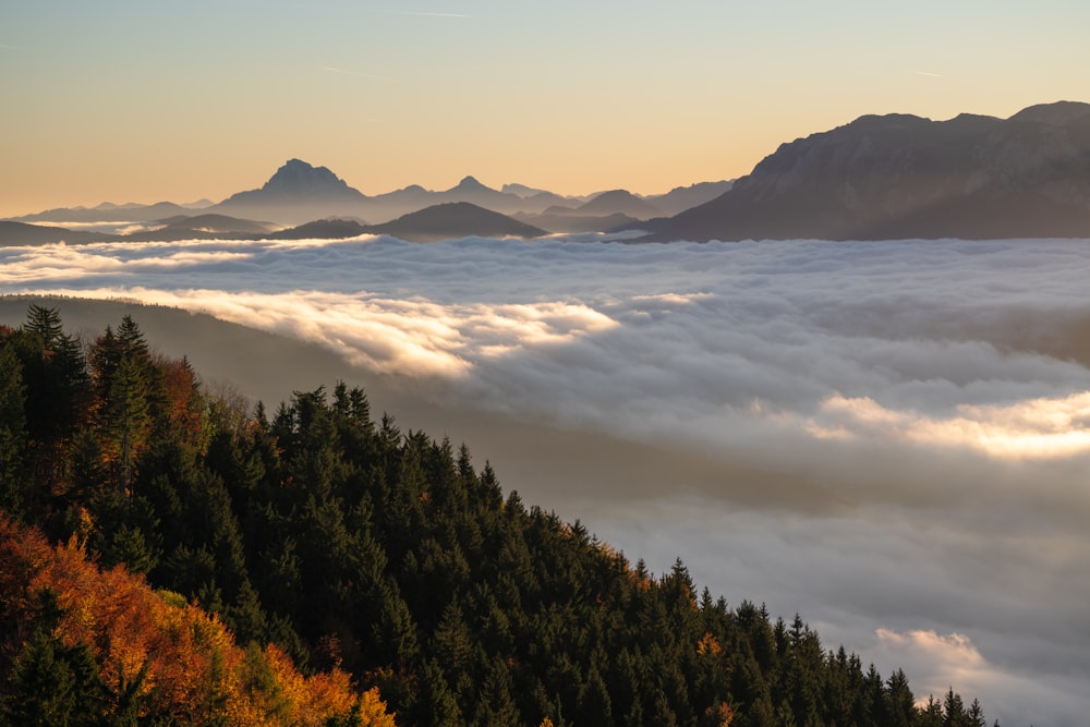 a view of a mountain range covered in clouds