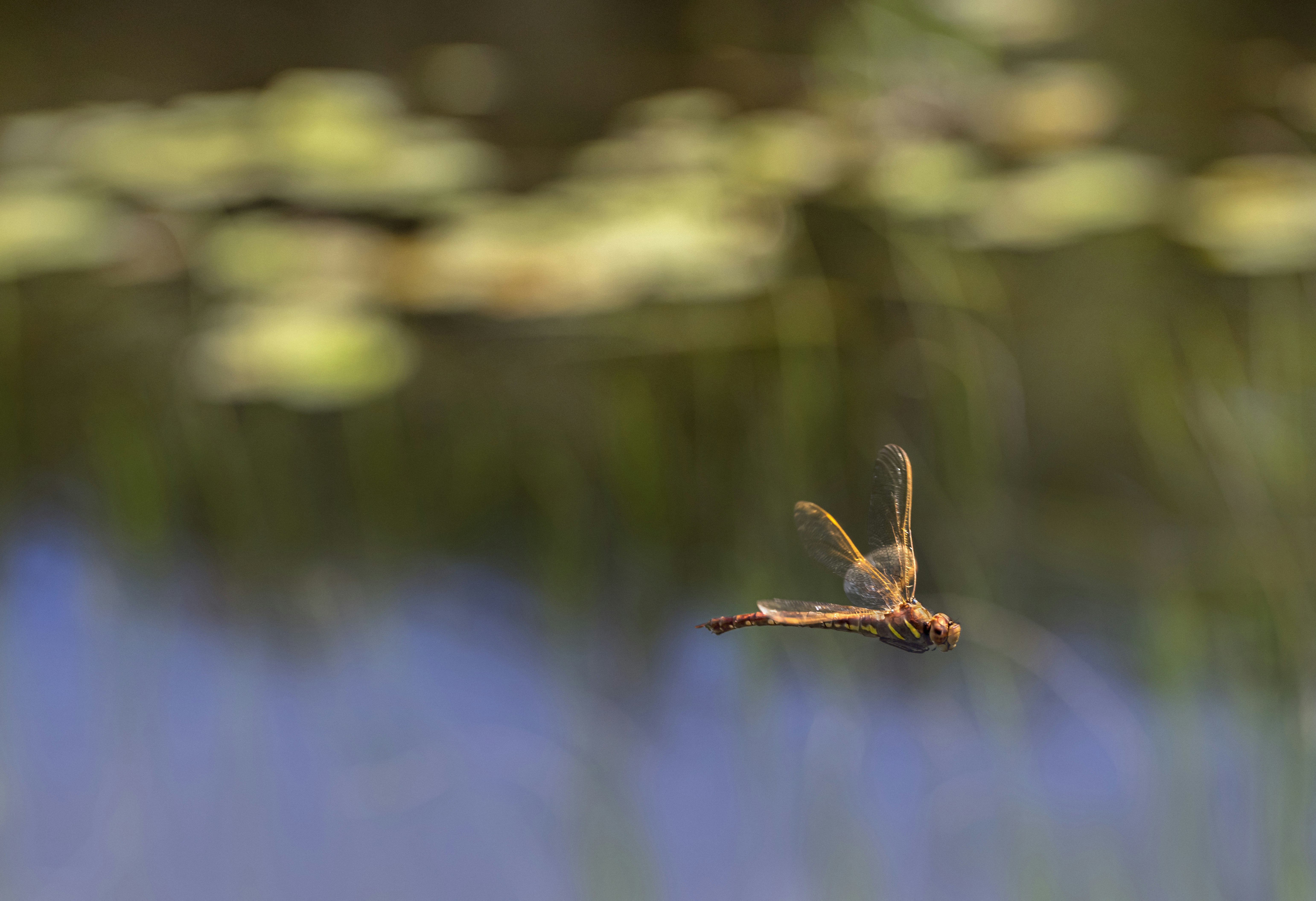 Photo by erik_karits