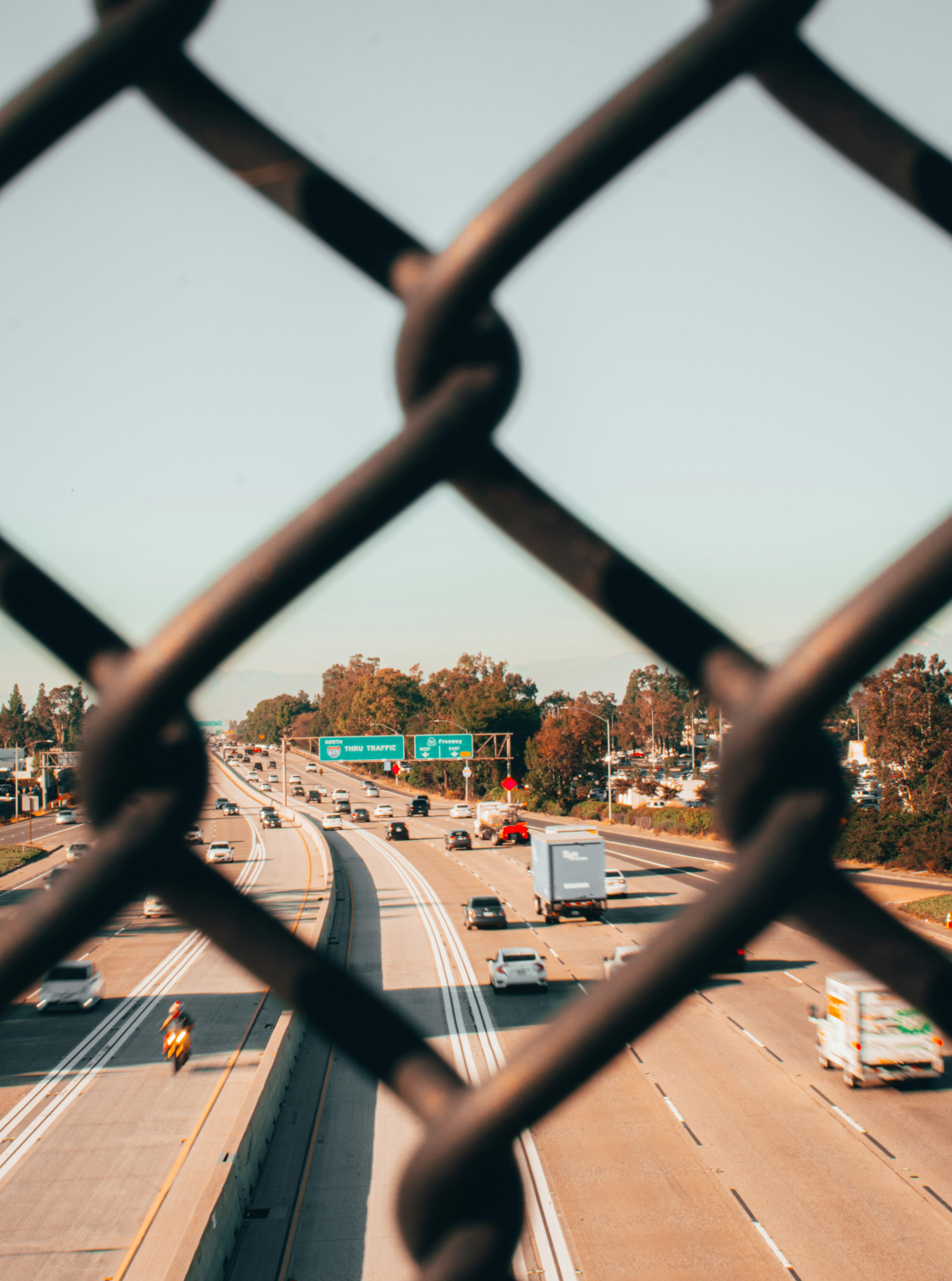 Photo by kingkonggeorge