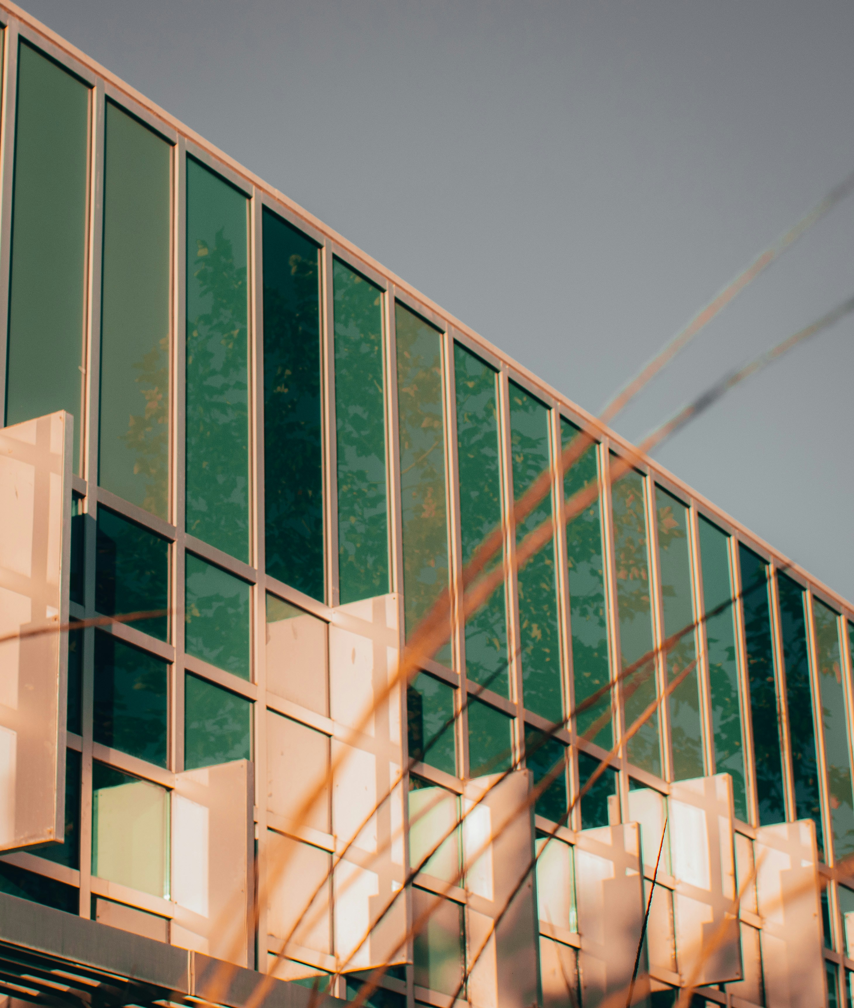 Photo by kingkonggeorge