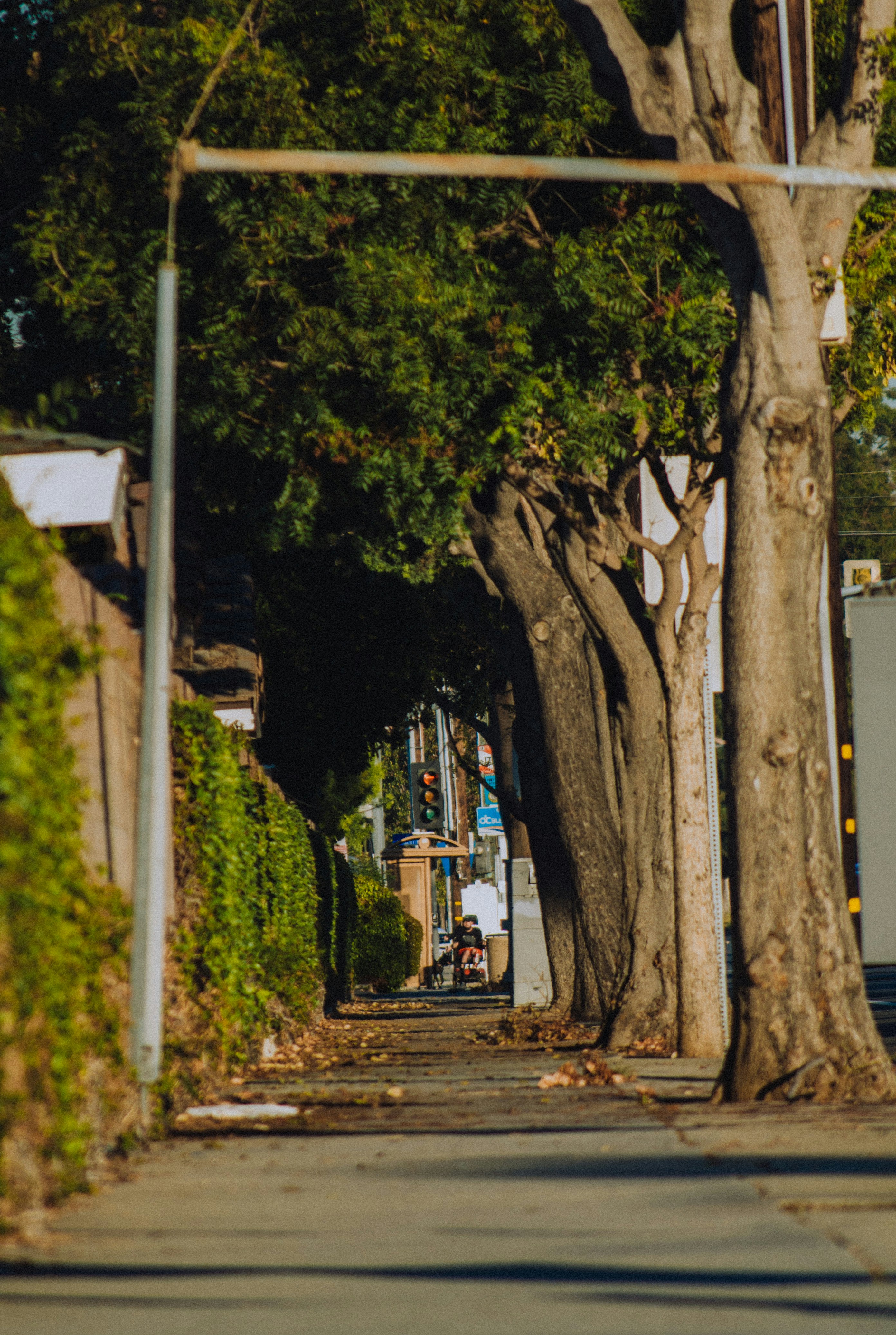 Photo by kingkonggeorge