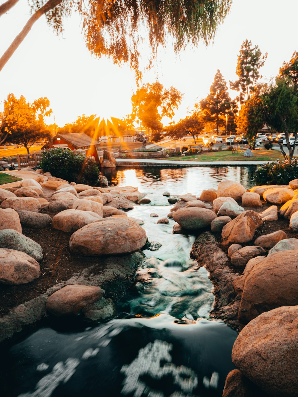 a river running through a lush green park