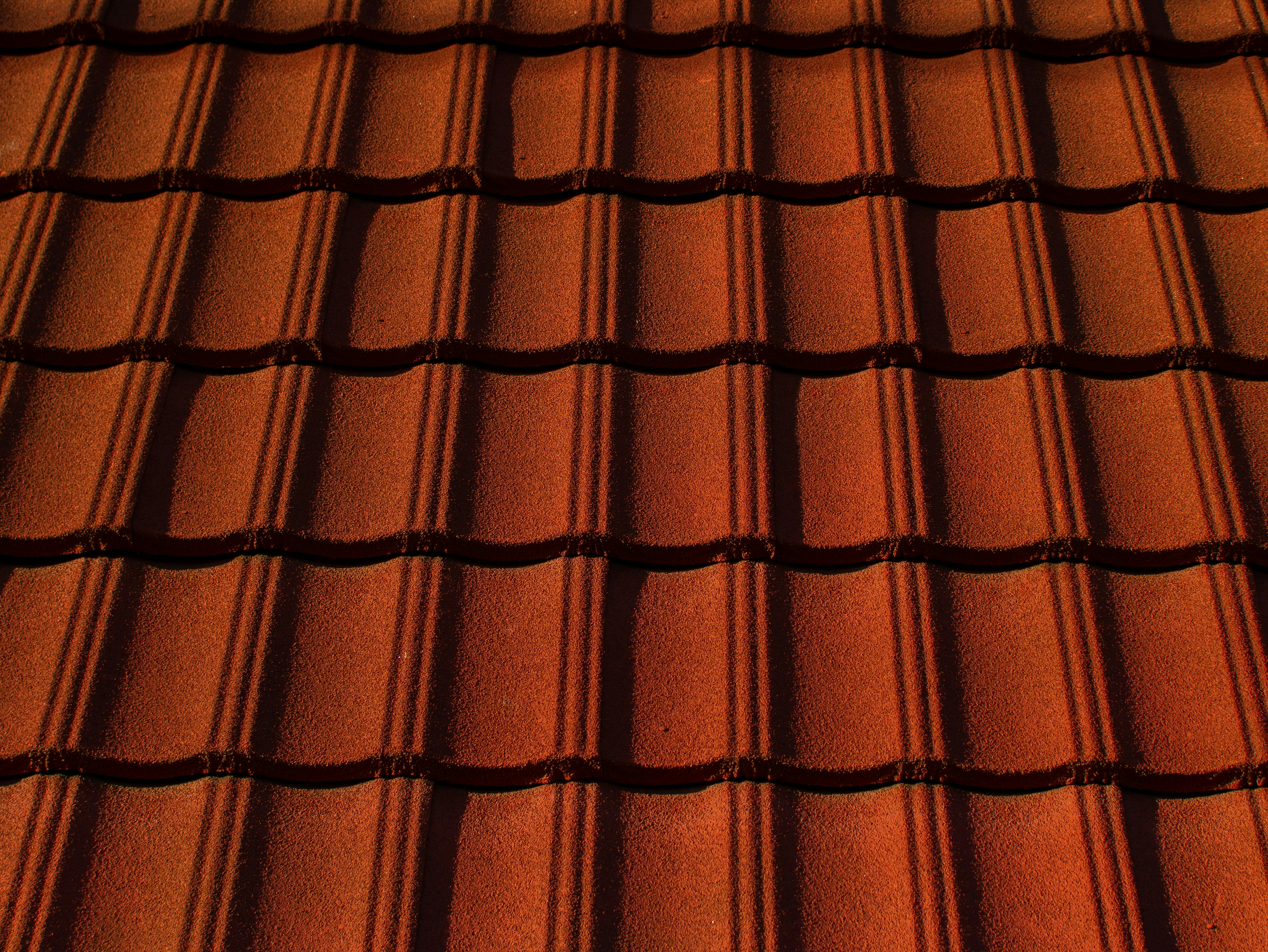 Photo by kingkonggeorge