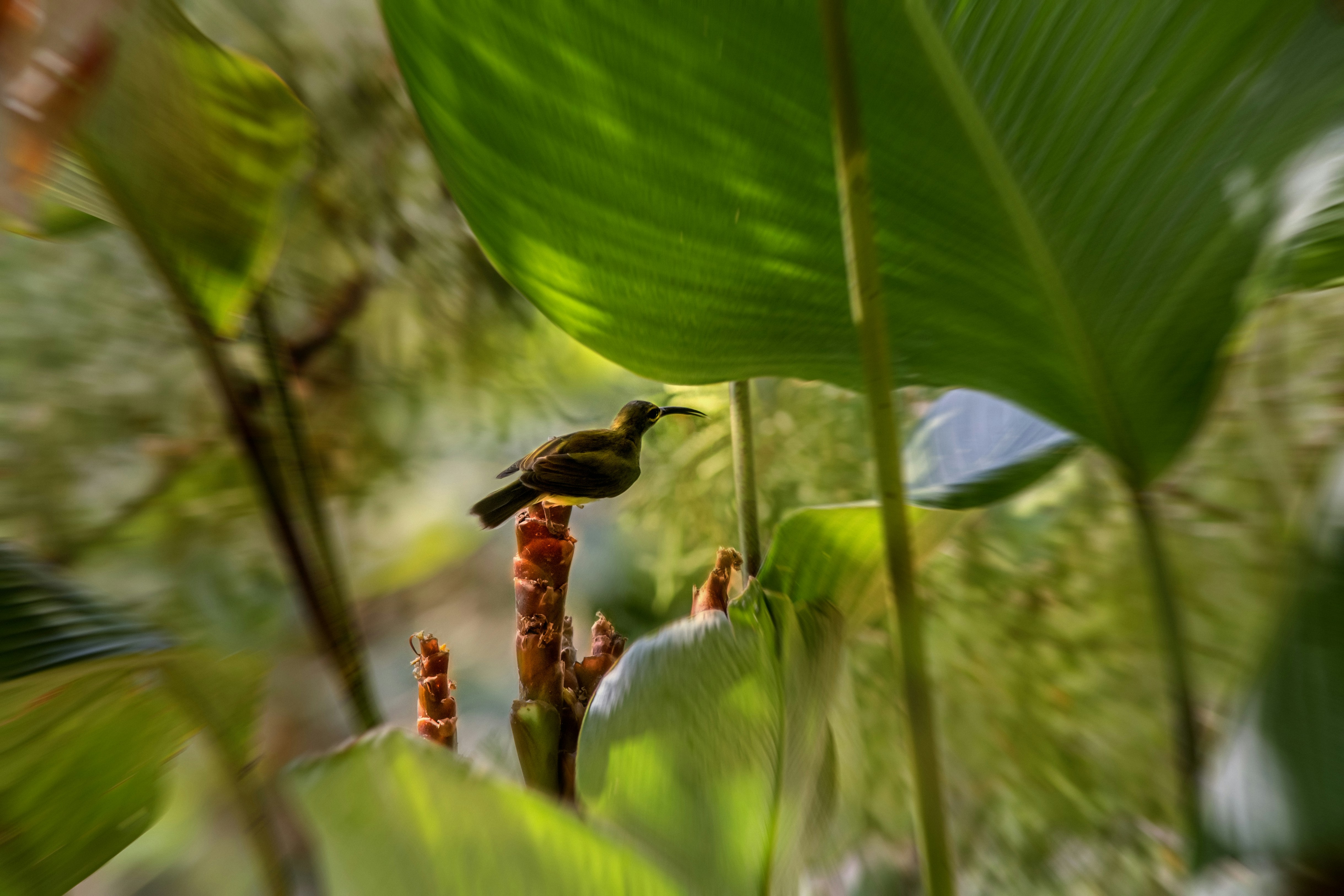 Photo by erik_karits