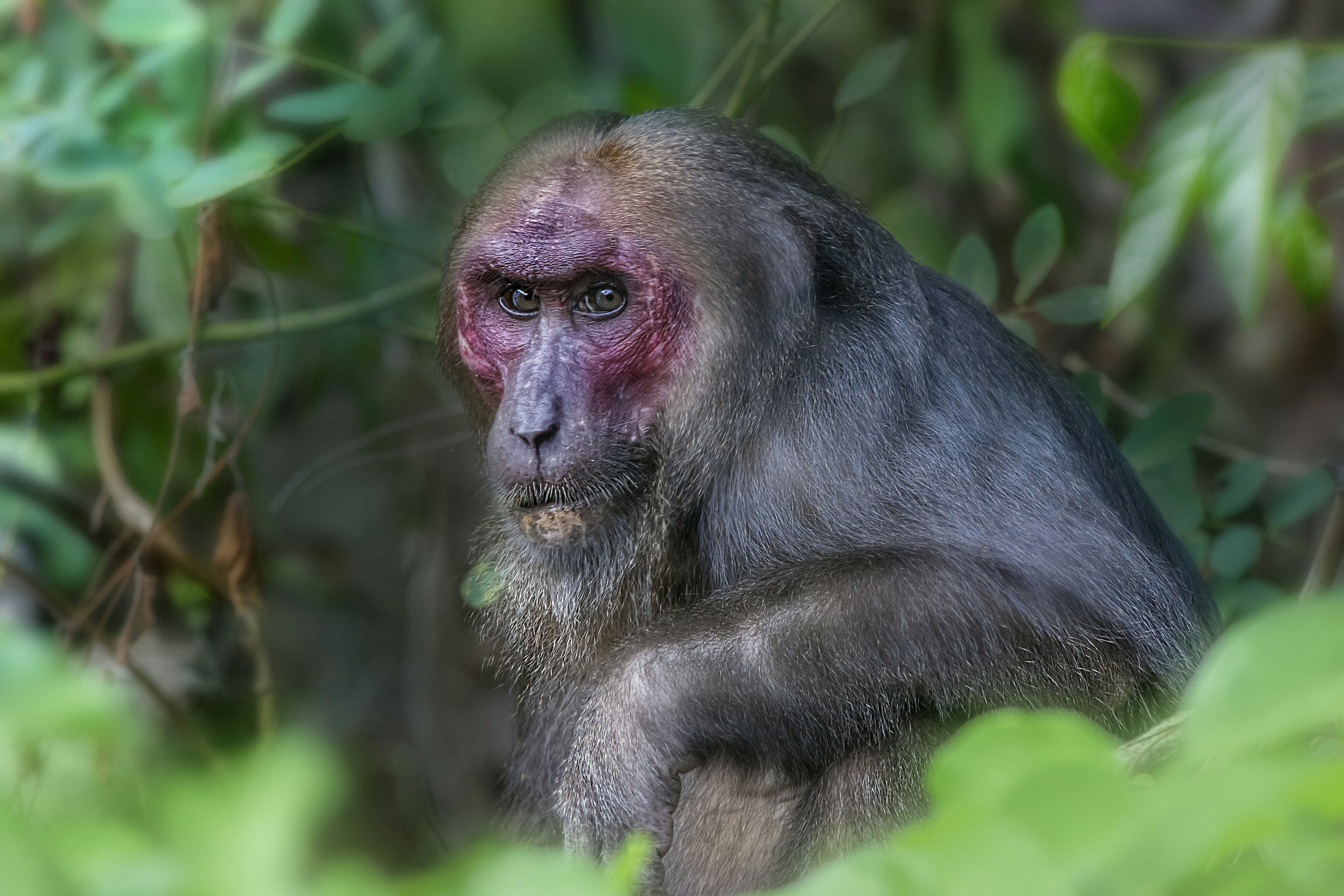 Photo by erik_karits