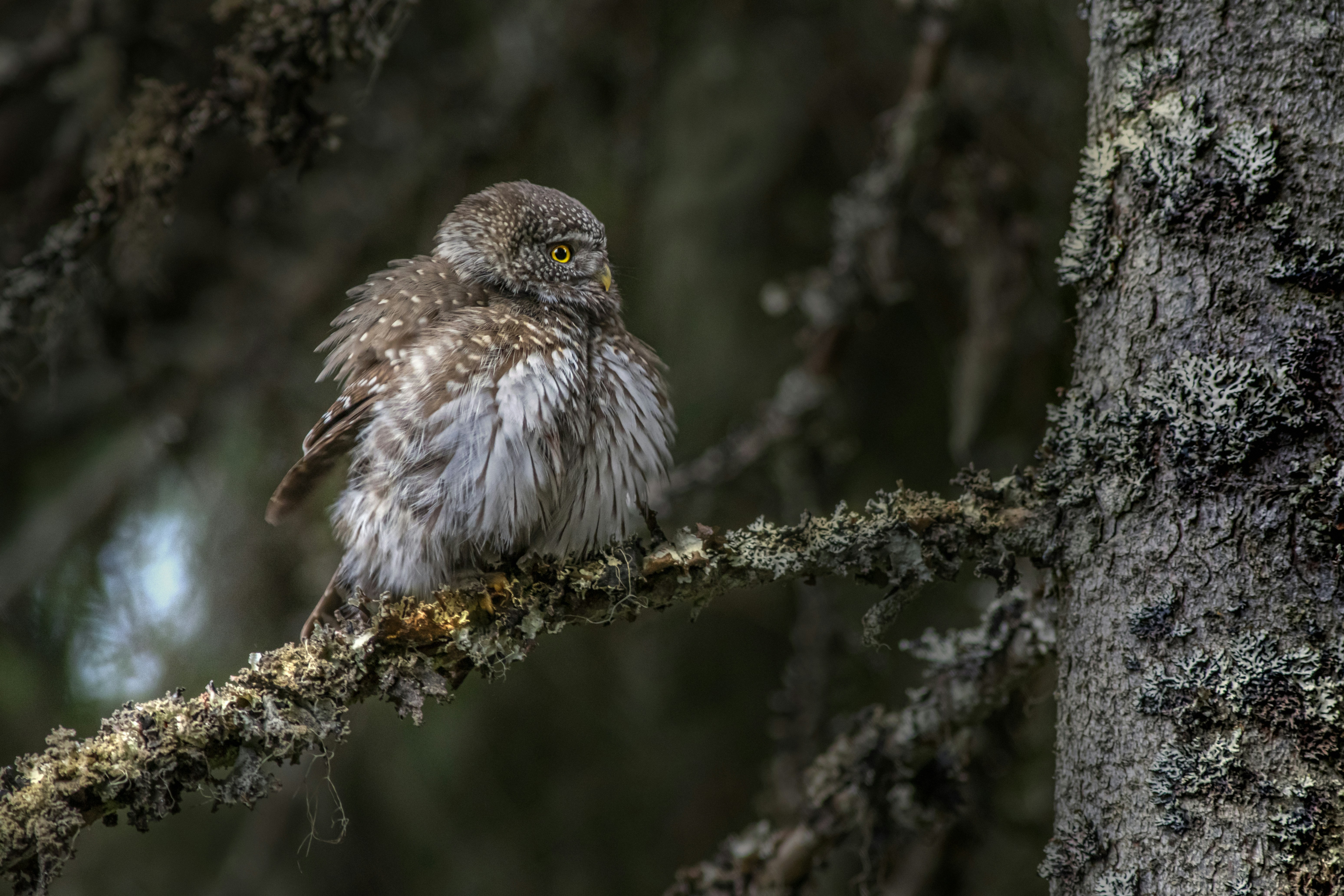 Photo by erik_karits