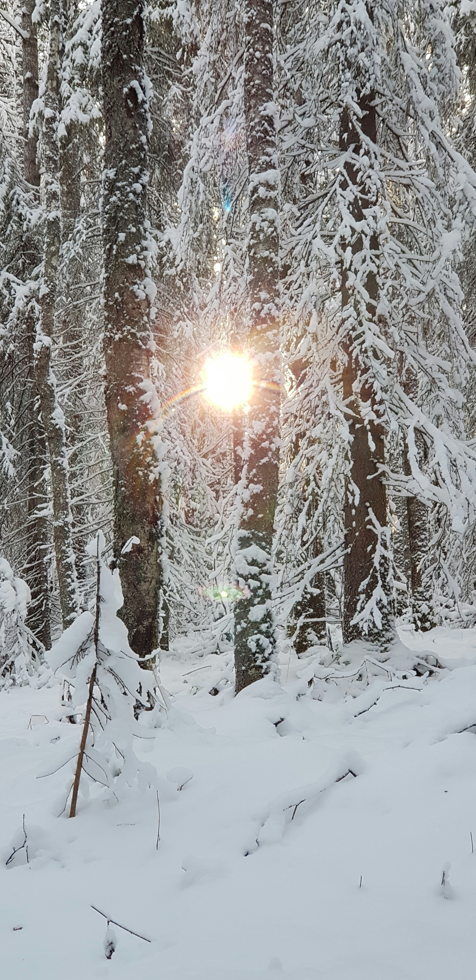 Photo by alexlarsonswede