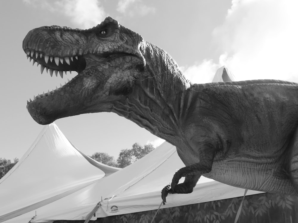 a black and white photo of a dinosaur in a tent