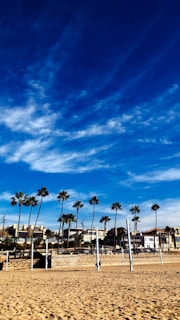 A sandy beach with palm trees is lined against a bright blue sky with scattered clouds. Volley posts stand in the sand, and behind them are buildings, likely residential, with a low wall adorned with artwork.