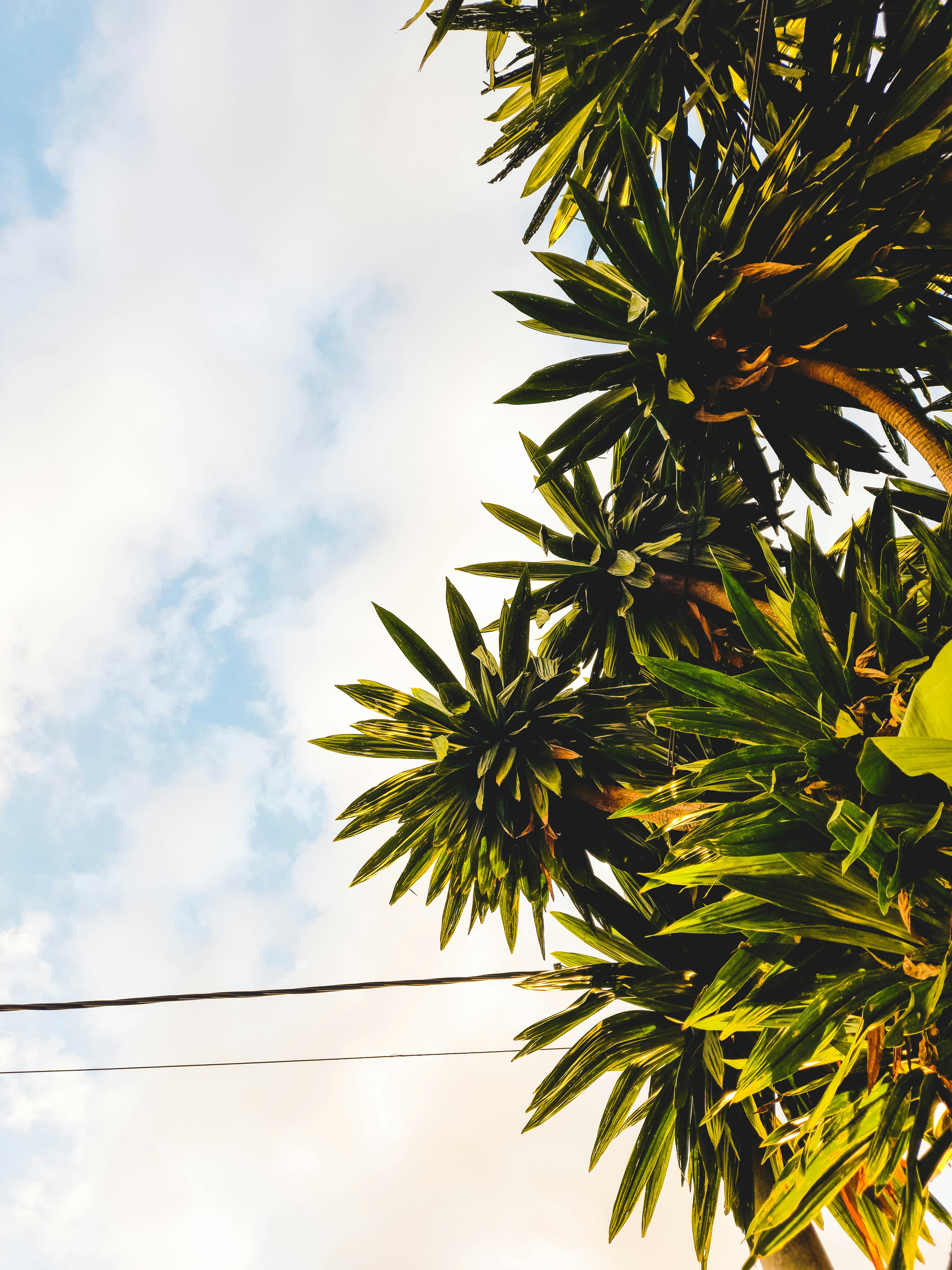 Photo by thatboymoti