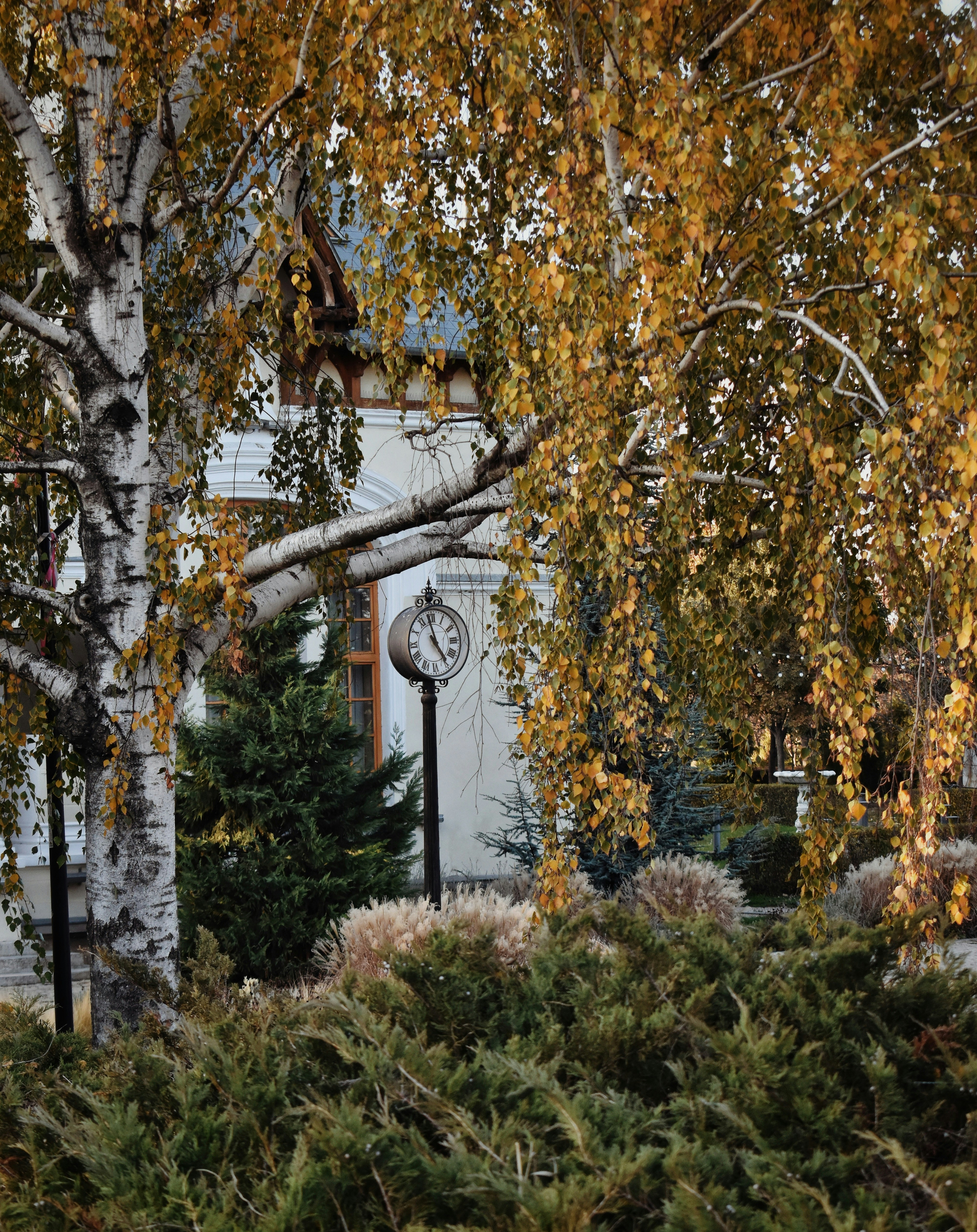 Photo by bianncapatrascu