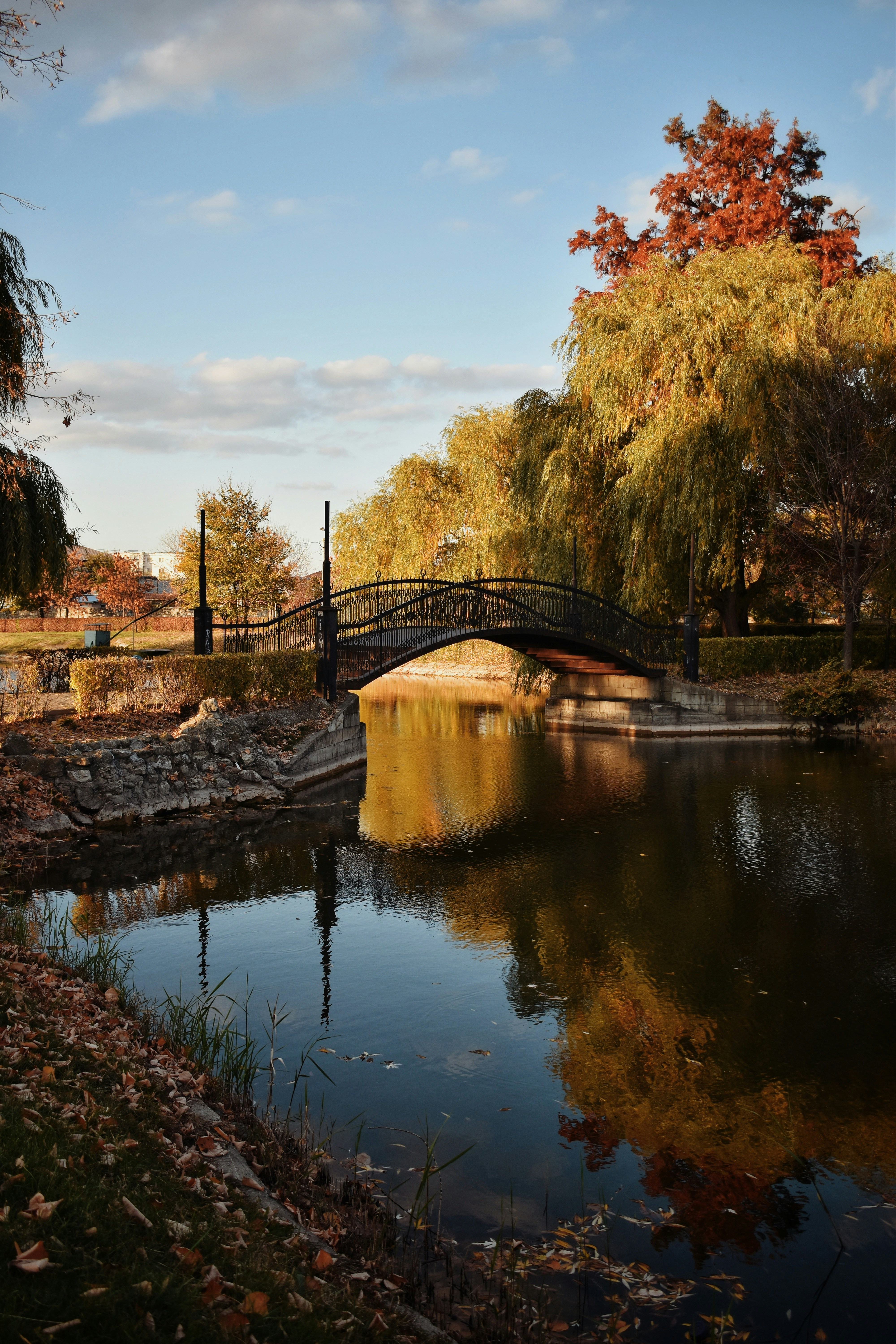 Photo by bianncapatrascu