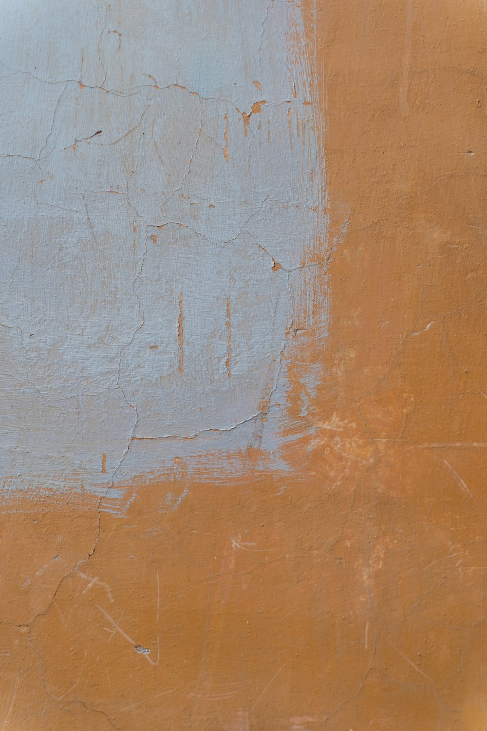 an orange and blue painted wall with a black and white clock