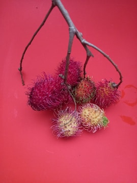 A cluster of bright red rambutan fruits rests on a stark red background. The rambutans are attached to a dry, slender branch. Each fruit features hairy, spiky skin, with some showing a mix of yellow and red. The smooth red surface below them emphasizes the vibrant colors of the rambutans.
