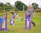 A woman is running alongside a dog that is enthusiastically jumping over a purple and white hurdle in an outdoor grassy area, seemingly part of an agility course. The background is composed of trees and fencing.
